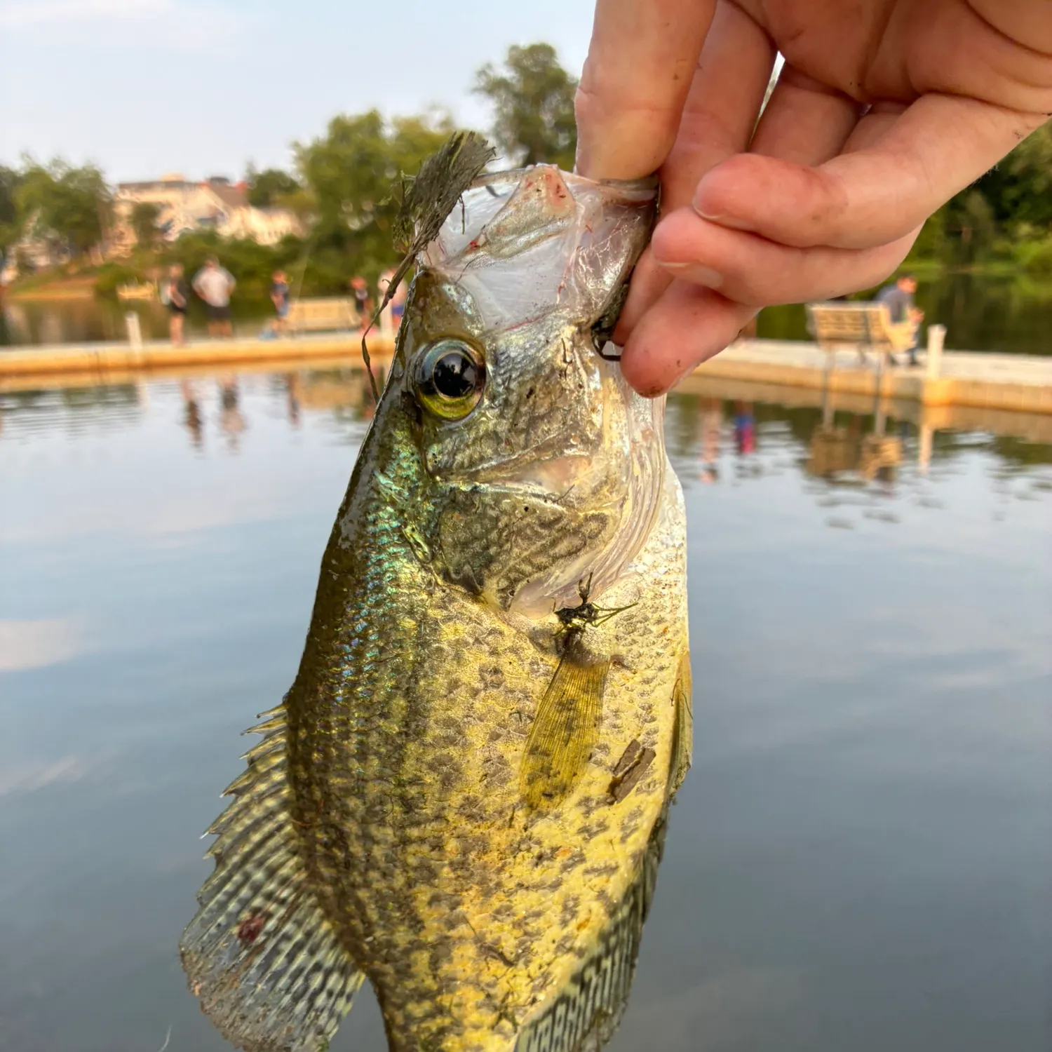 catch