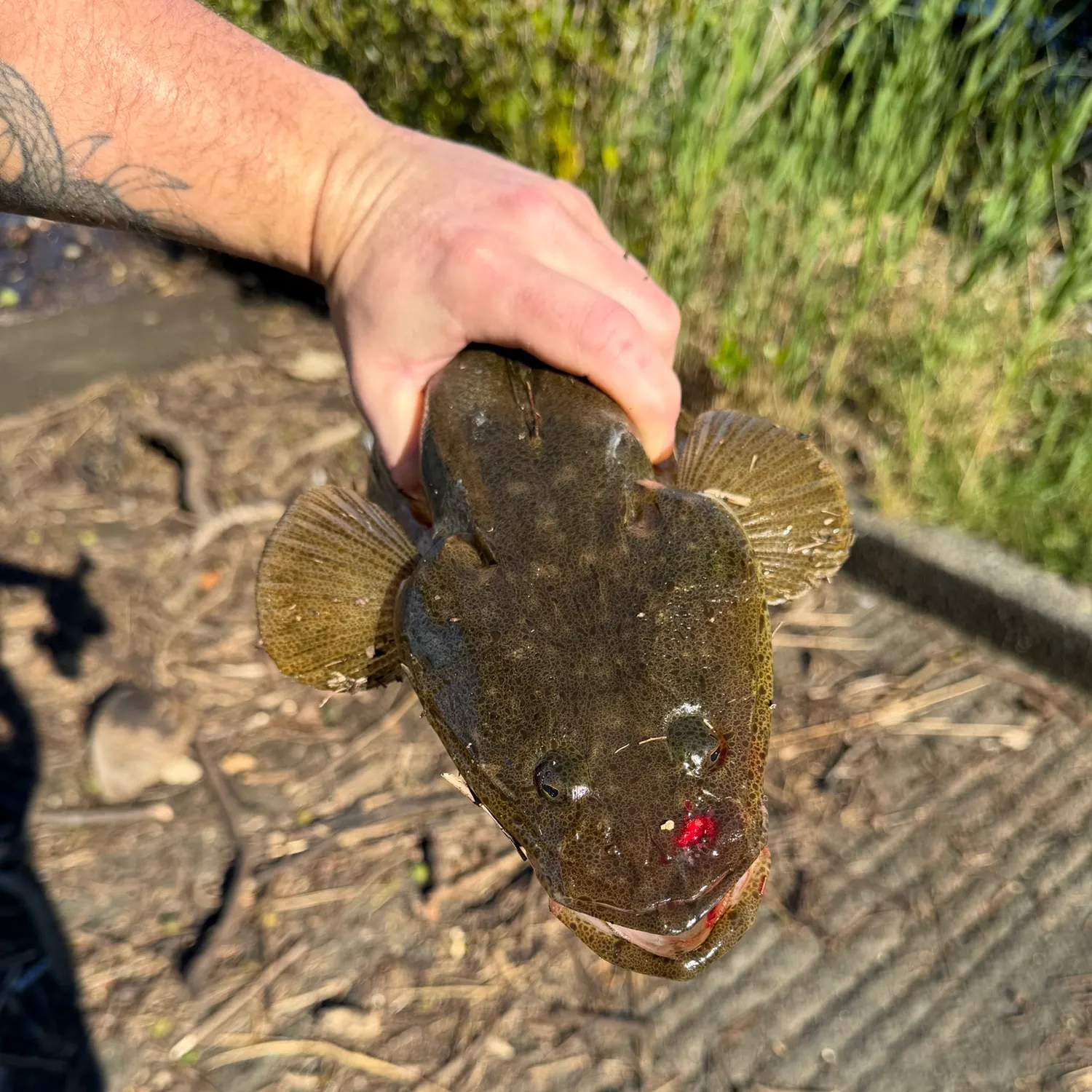 catch