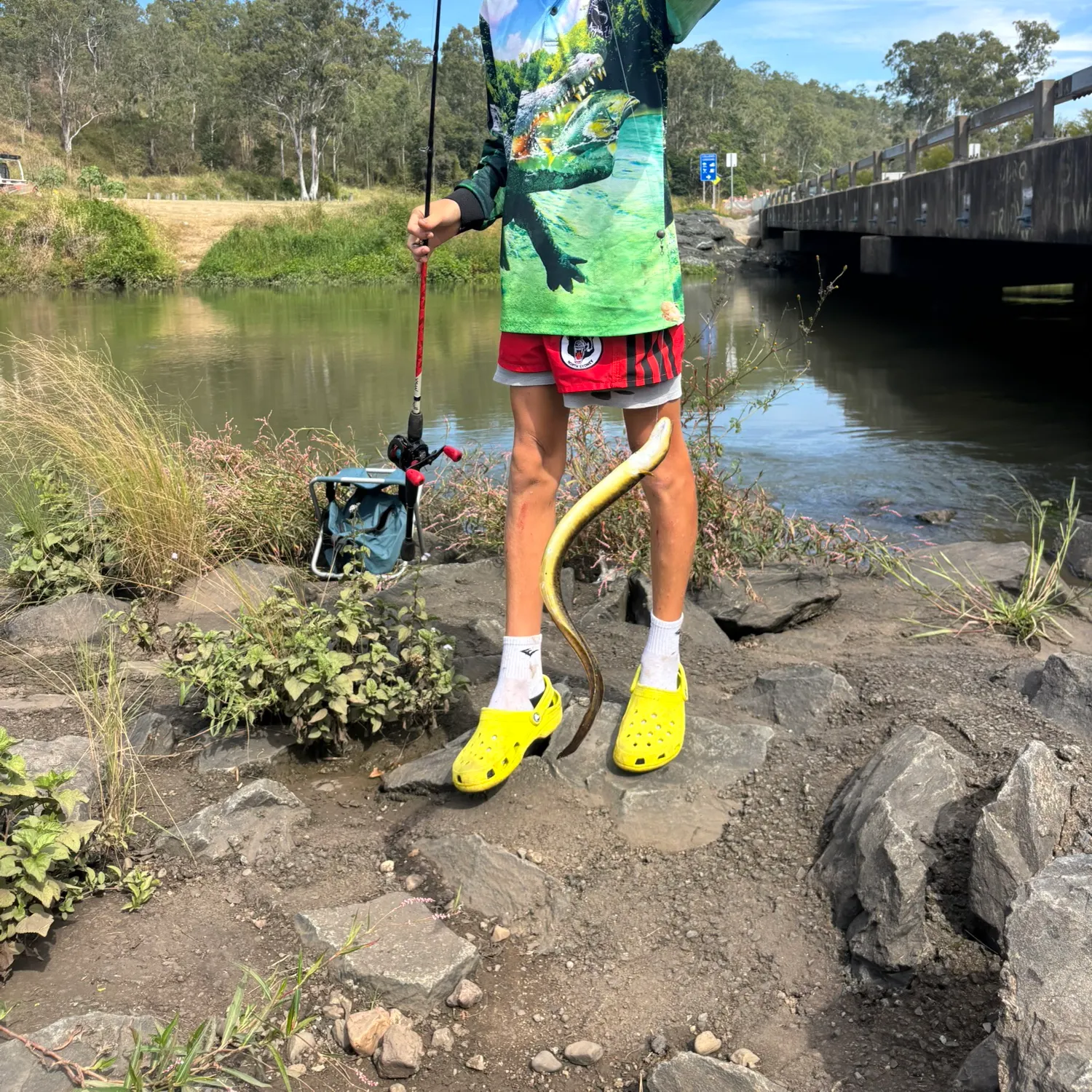 The most recent Speckled longfin eel catches on Fishbrain