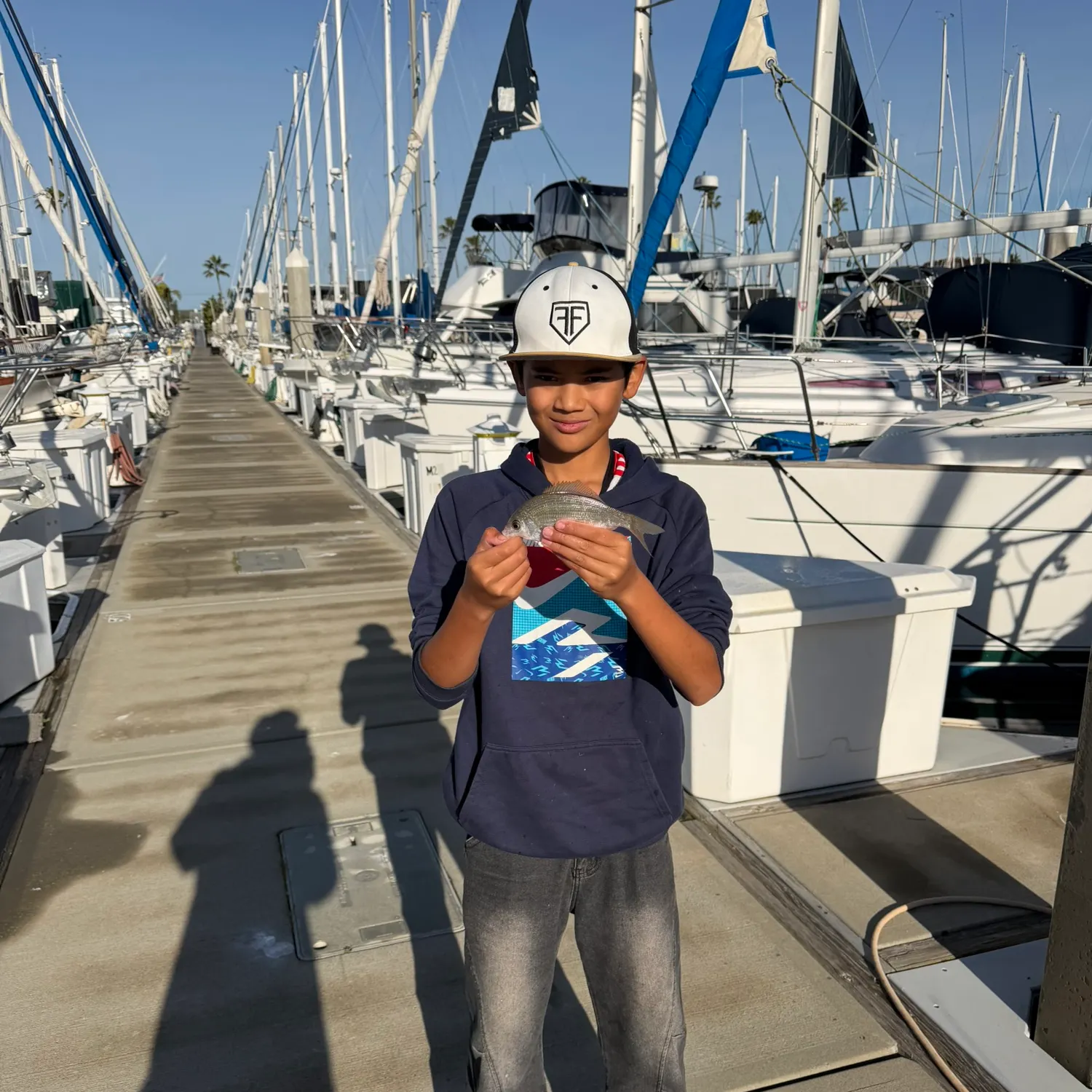 The most recent White seaperch catches on Fishbrain