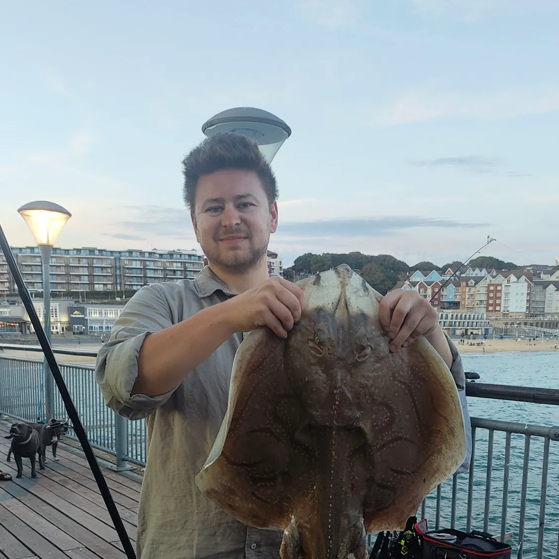 The most recent Undulate ray catches on Fishbrain