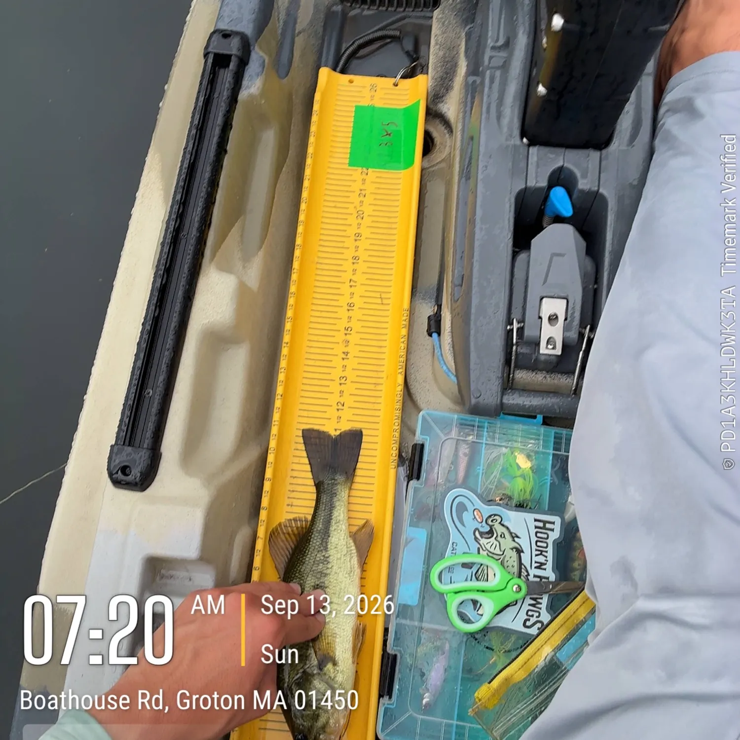 Largemouth bass caught on Fishbrain