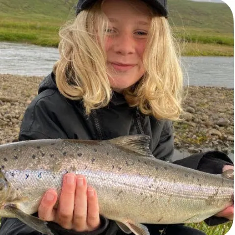 Atlantic salmon caught on Fishbrain