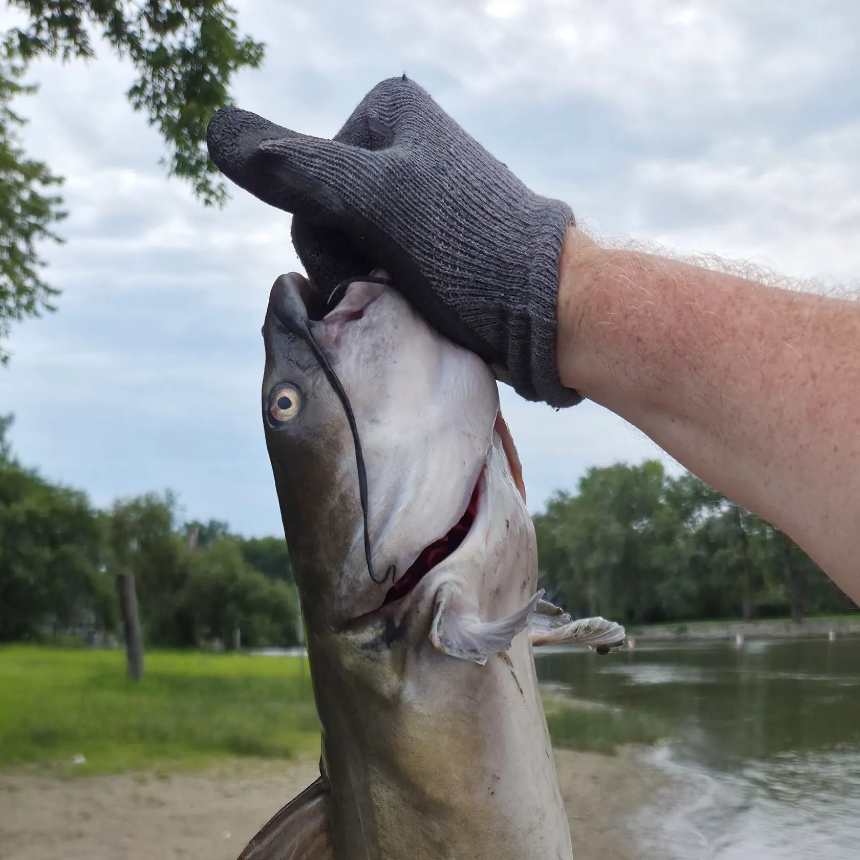 catch