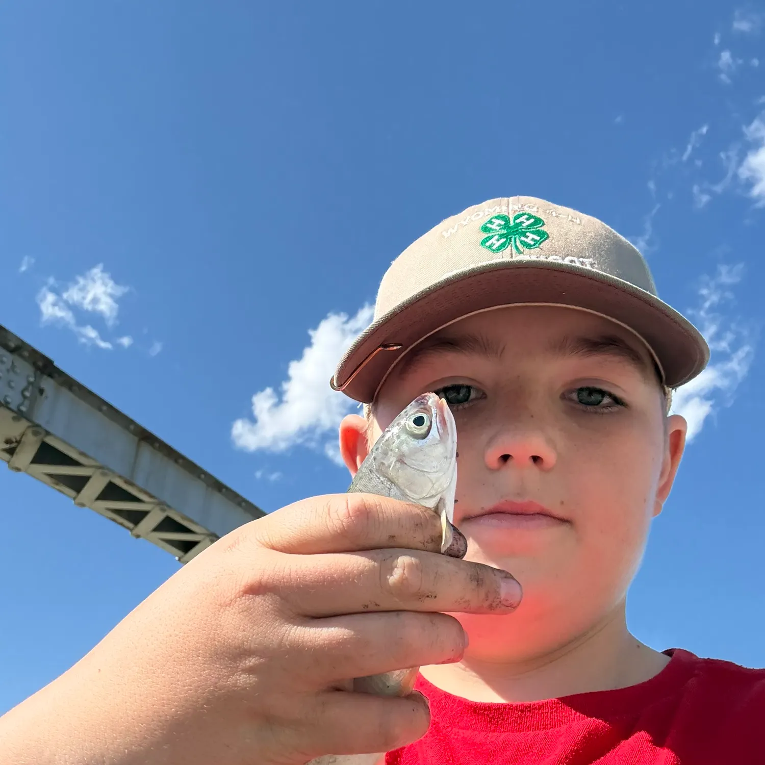 Rainbow trout caught on Fishbrain