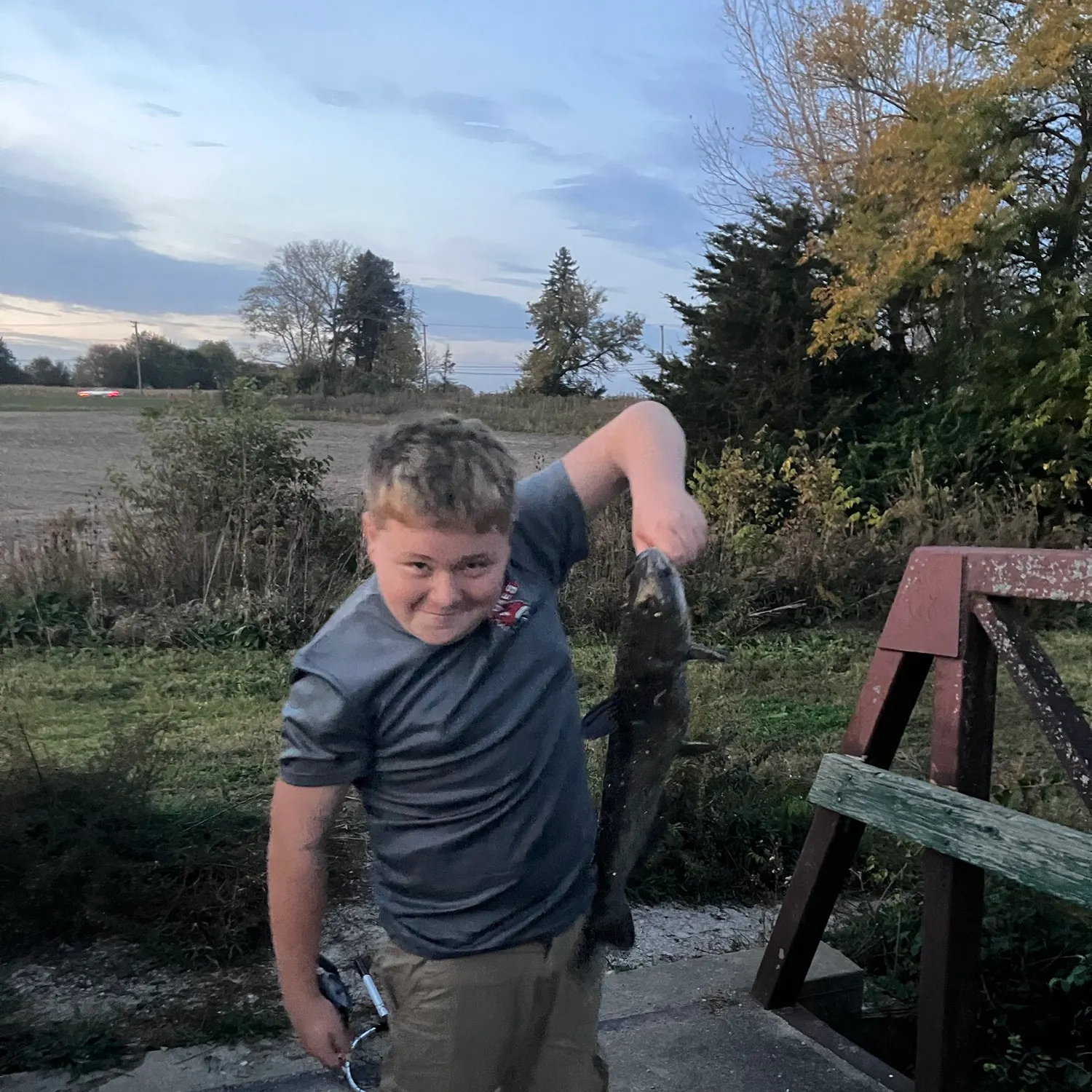 Channel catfish caught on Fishbrain