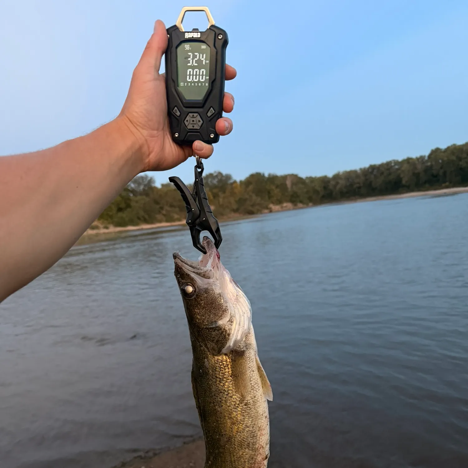 Walleye caught on Fishbrain