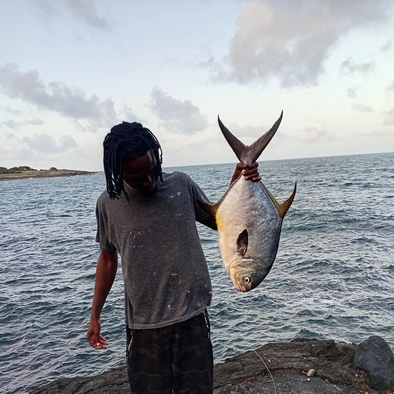 The most recent Permit catches on Fishbrain