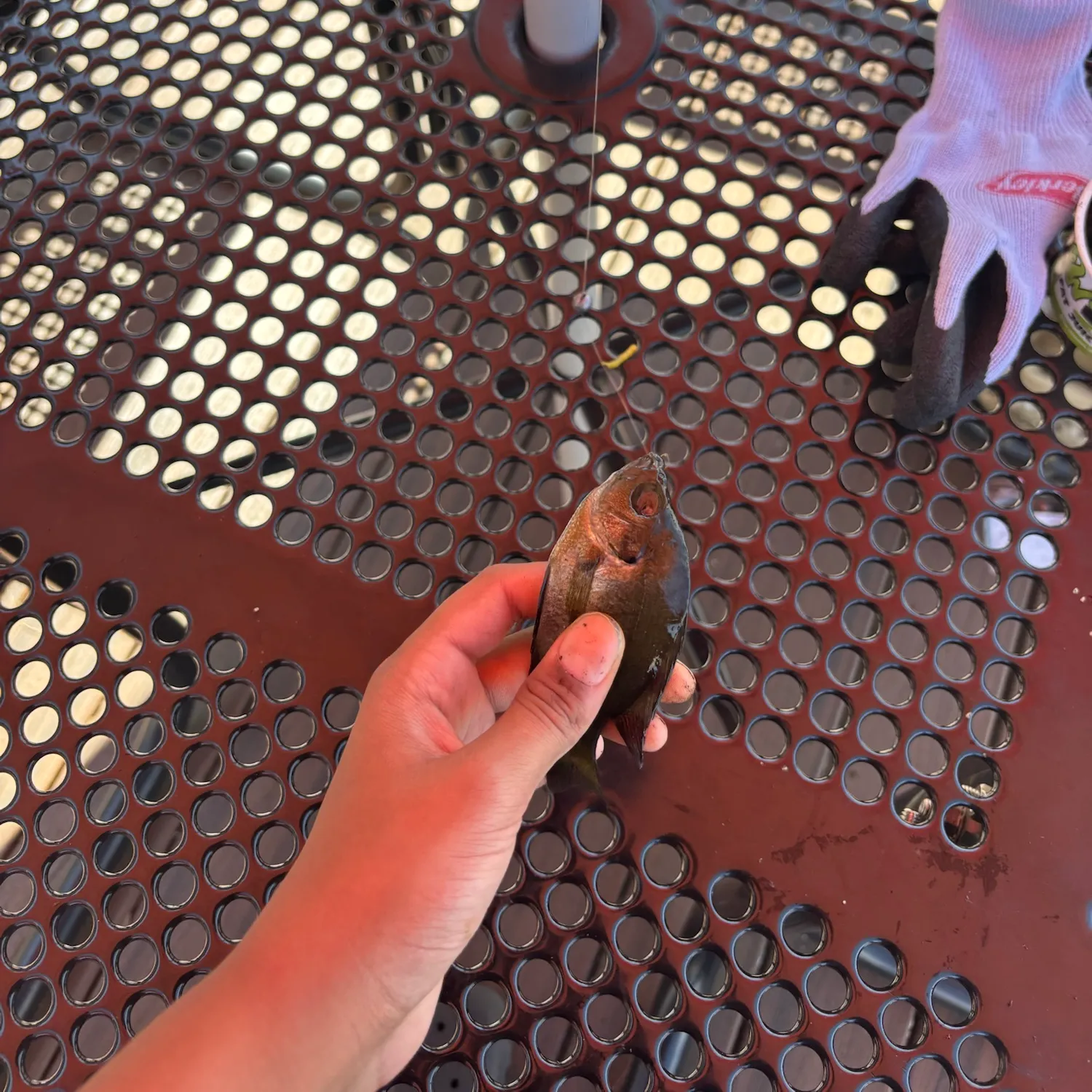 catch