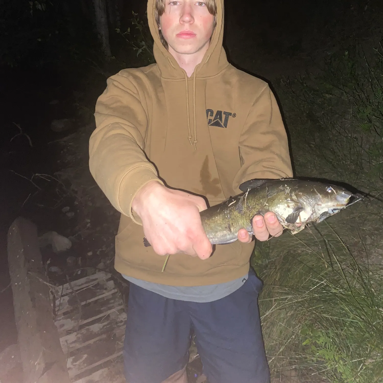 The most recent Channel catfish catches on Fishbrain