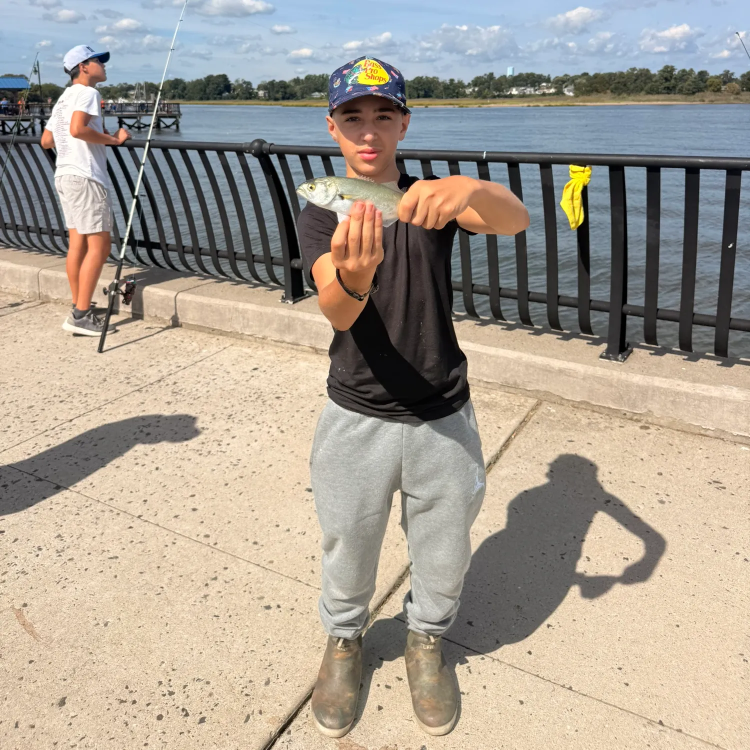 Bluefish caught on Fishbrain