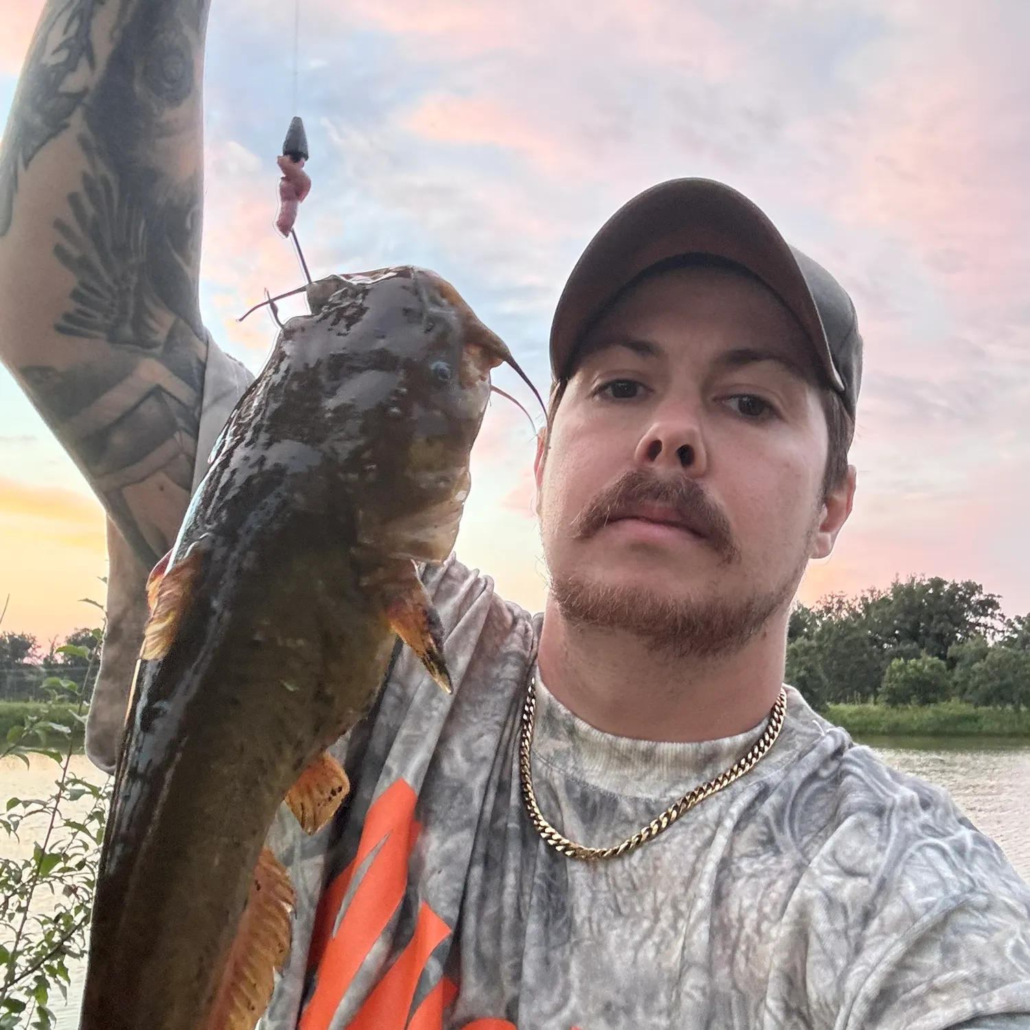 Yellow bullhead caught on Fishbrain