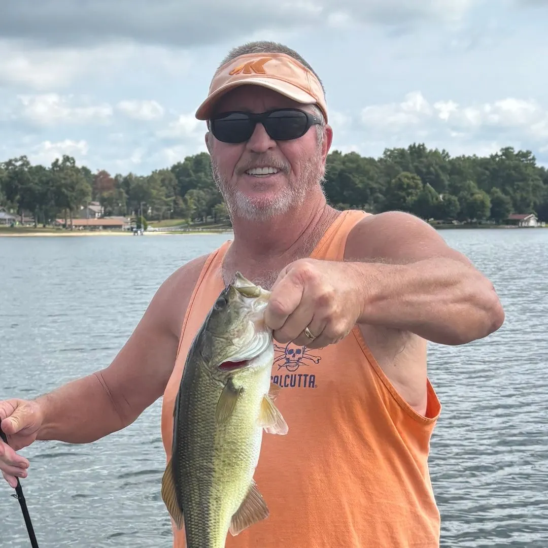 Largemouth bass caught on Fishbrain