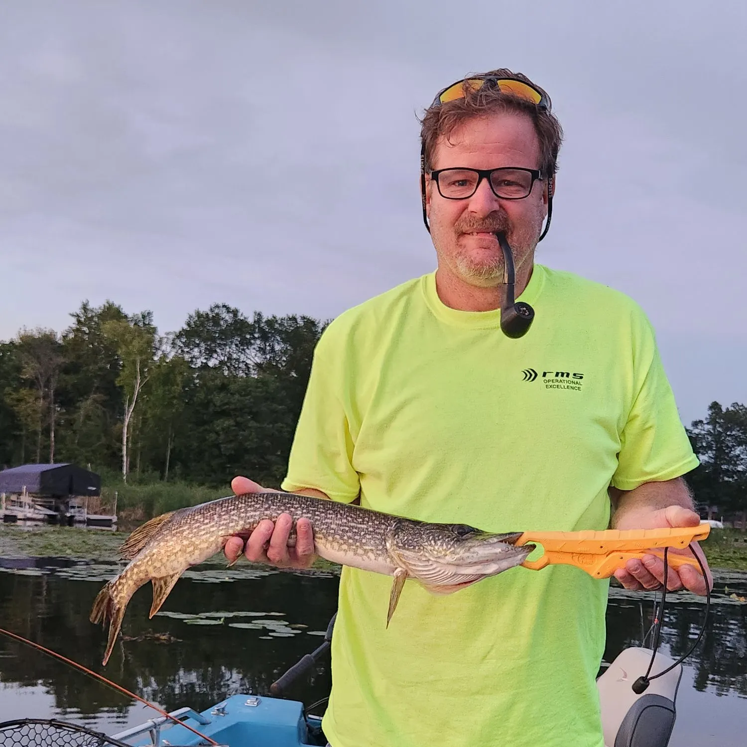 Northern pike caught on Fishbrain