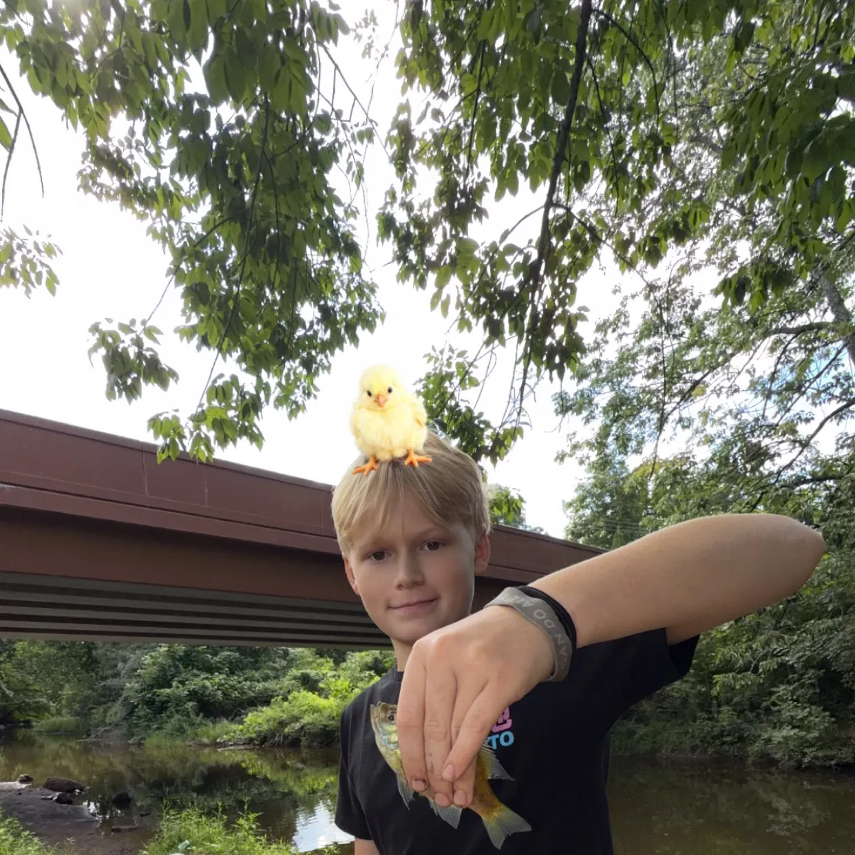 Fish caught on Fishbrain