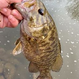 check on fishing pole 5 Ways to Use a Fishing Rod