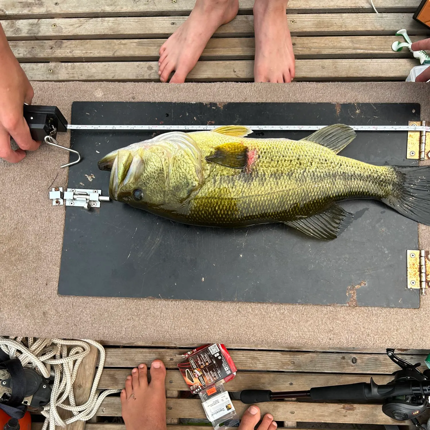 recently logged catches