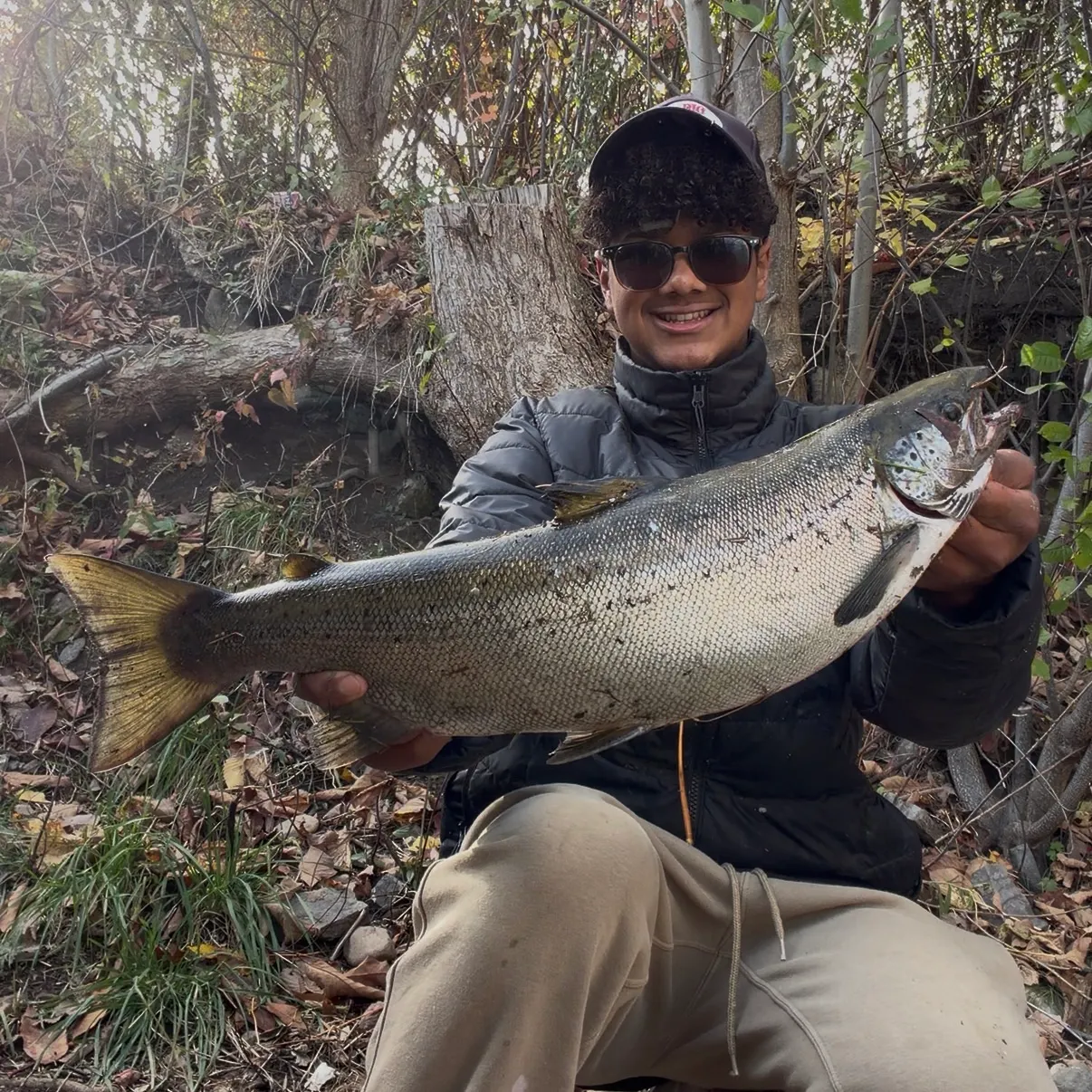 Landlocked atlantic salmon caught on Fishbrain