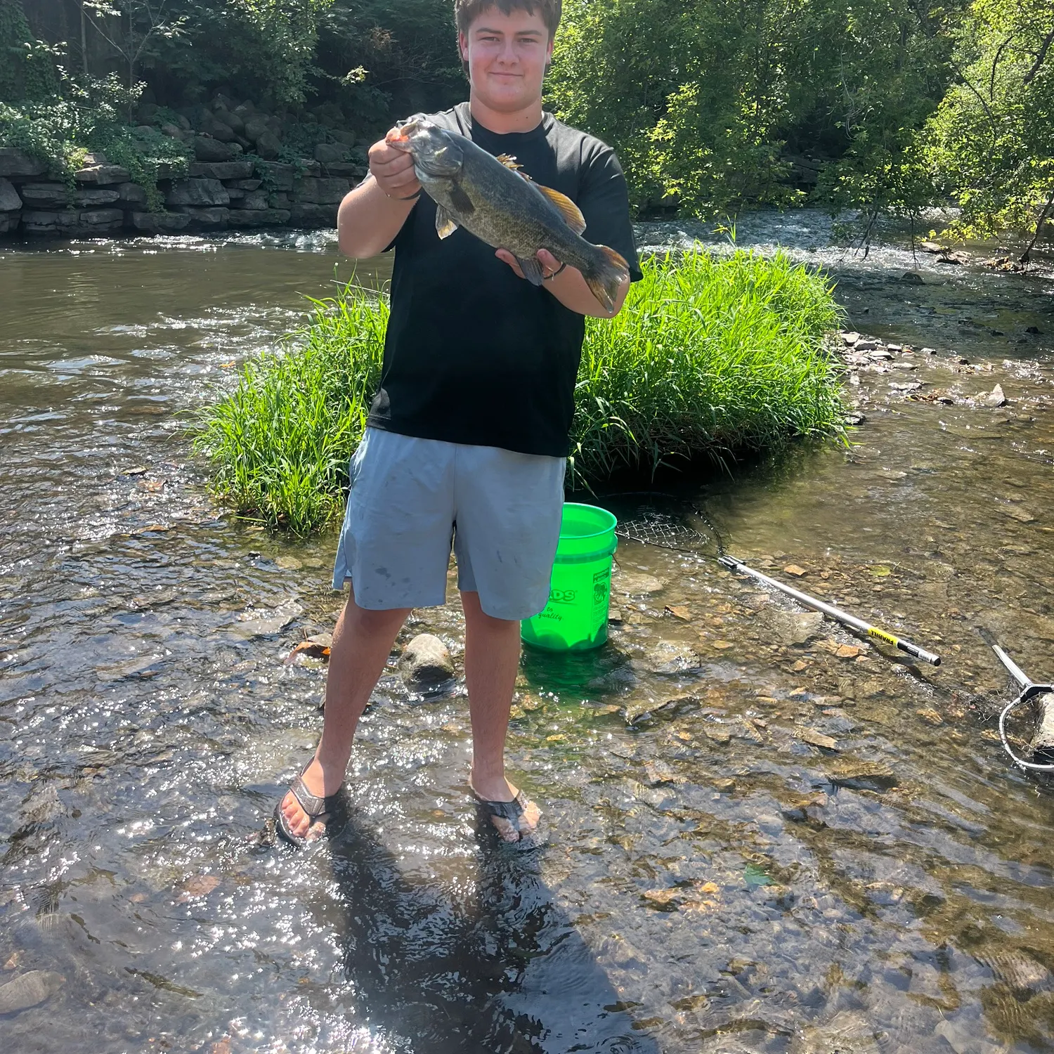 Smallmouth bass caught on Fishbrain