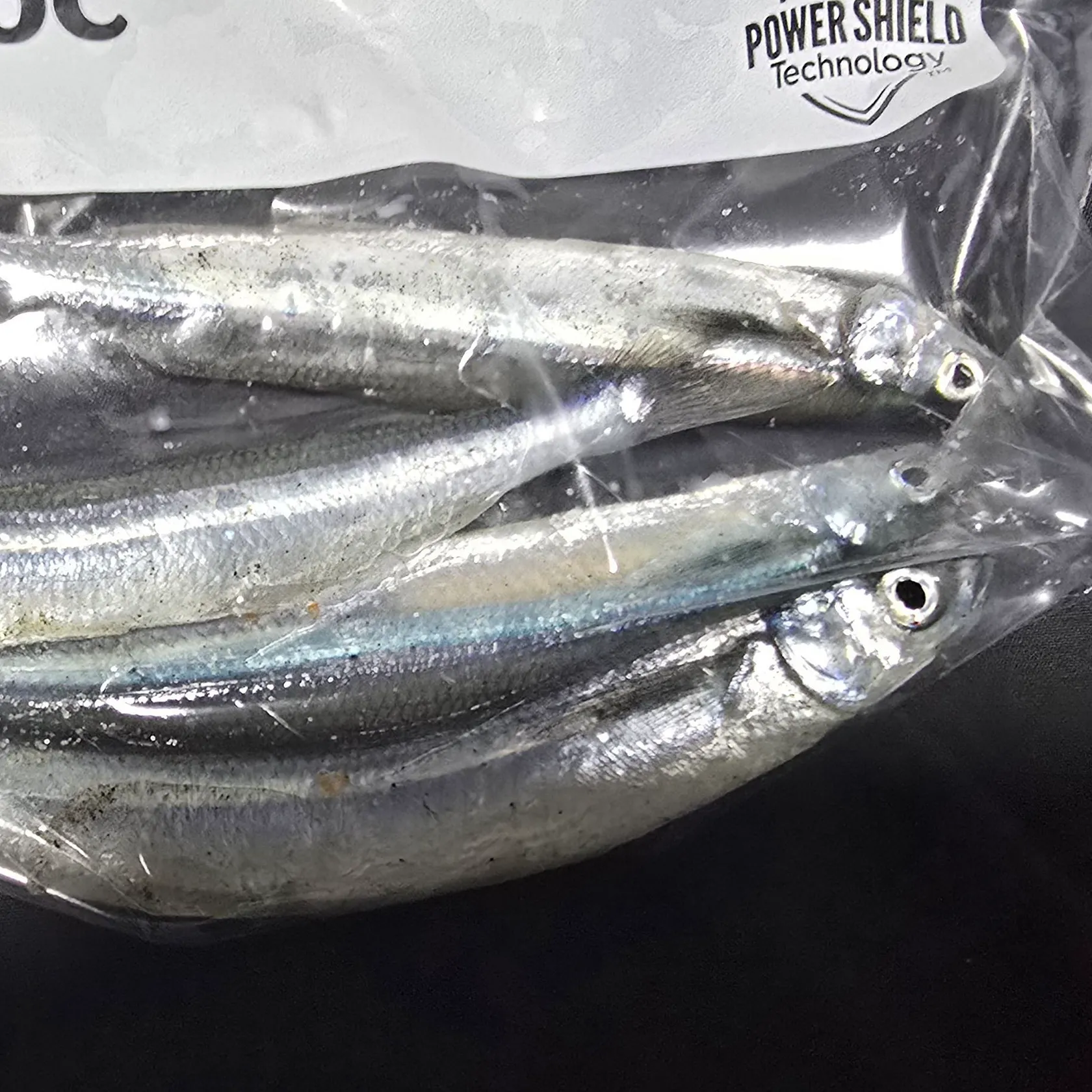 The most recent California grunion catches on Fishbrain