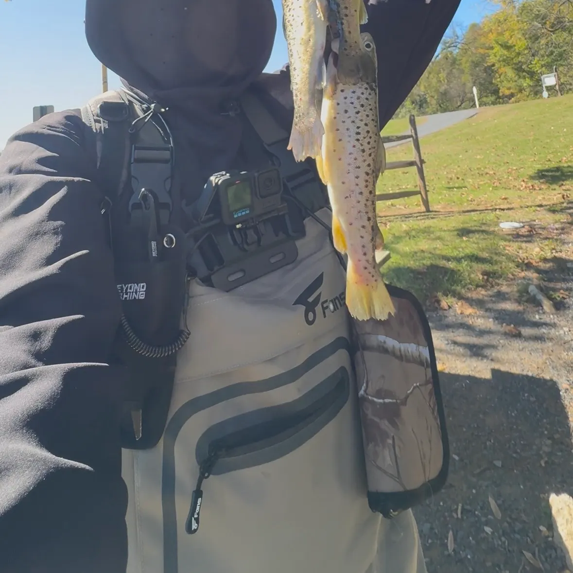 Brown trout caught on Fishbrain
