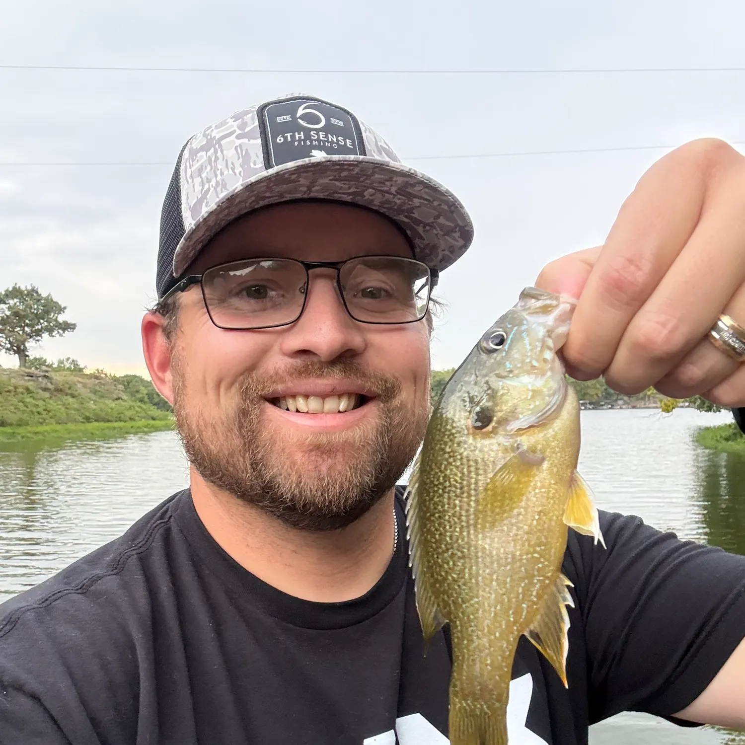 Green sunfish caught on Fishbrain