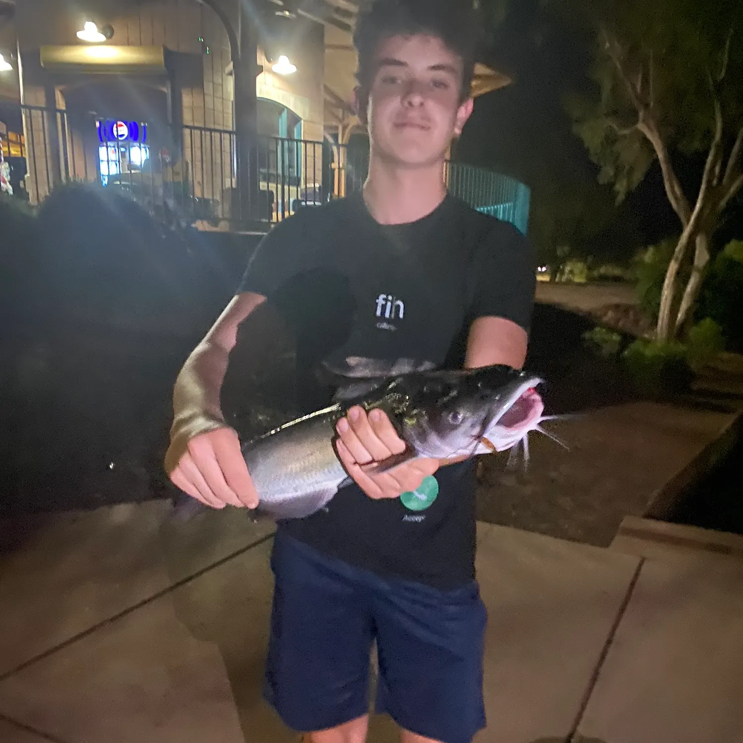 Channel catfish caught on Fishbrain