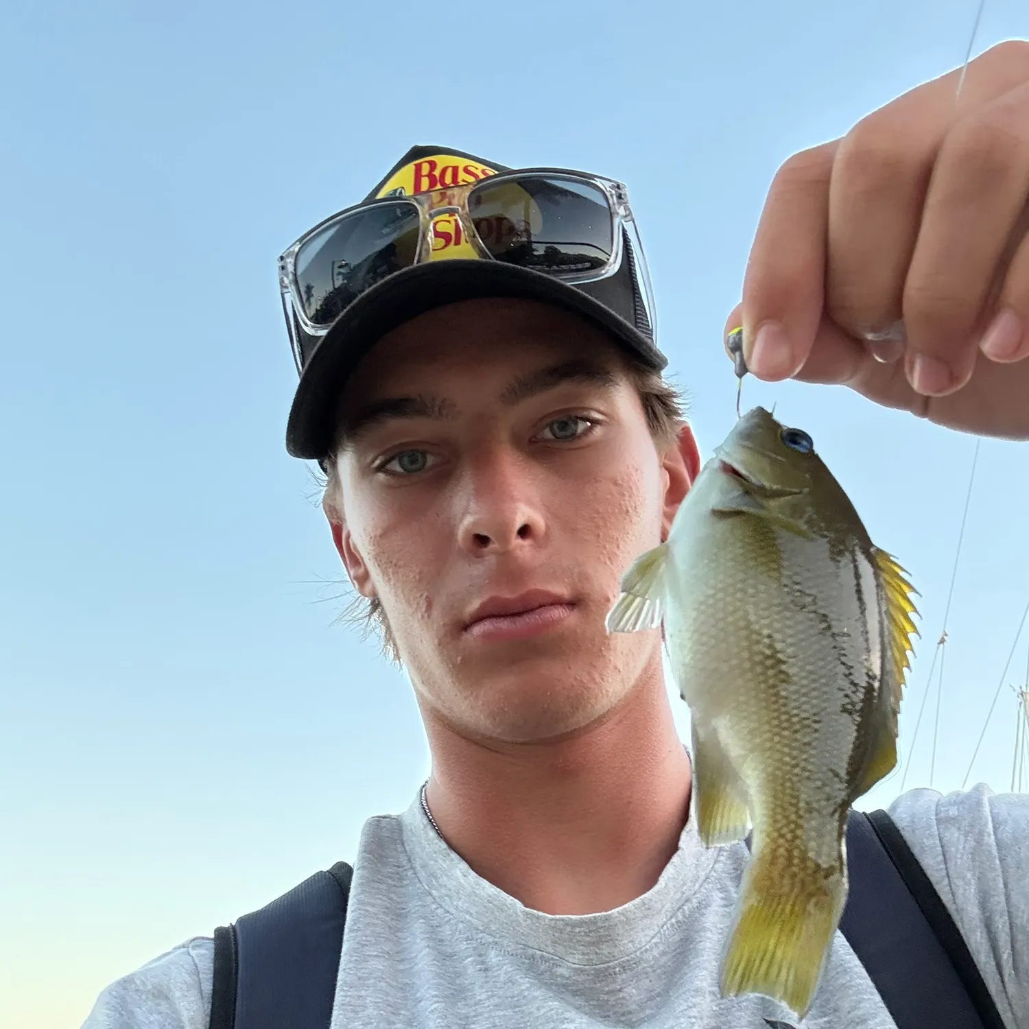 The most recent Opaleye catches on Fishbrain