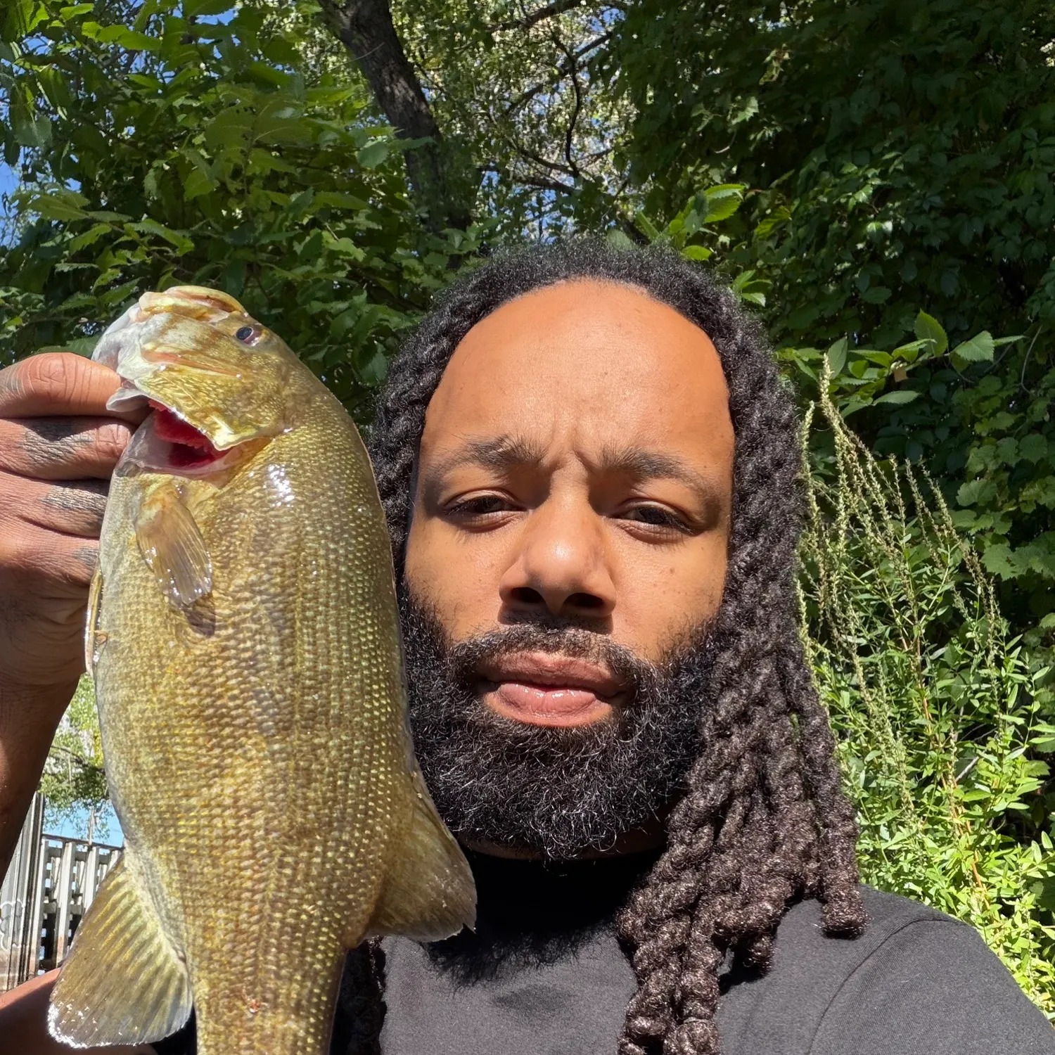 Smallmouth bass caught on Fishbrain