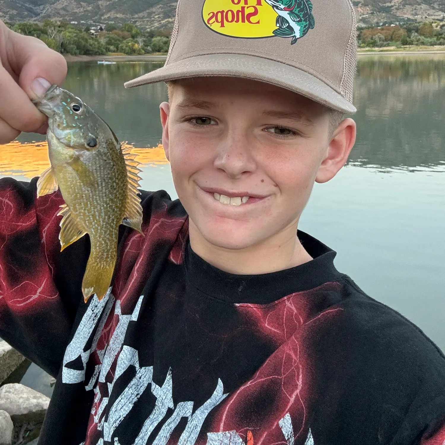 Green sunfish caught on Fishbrain