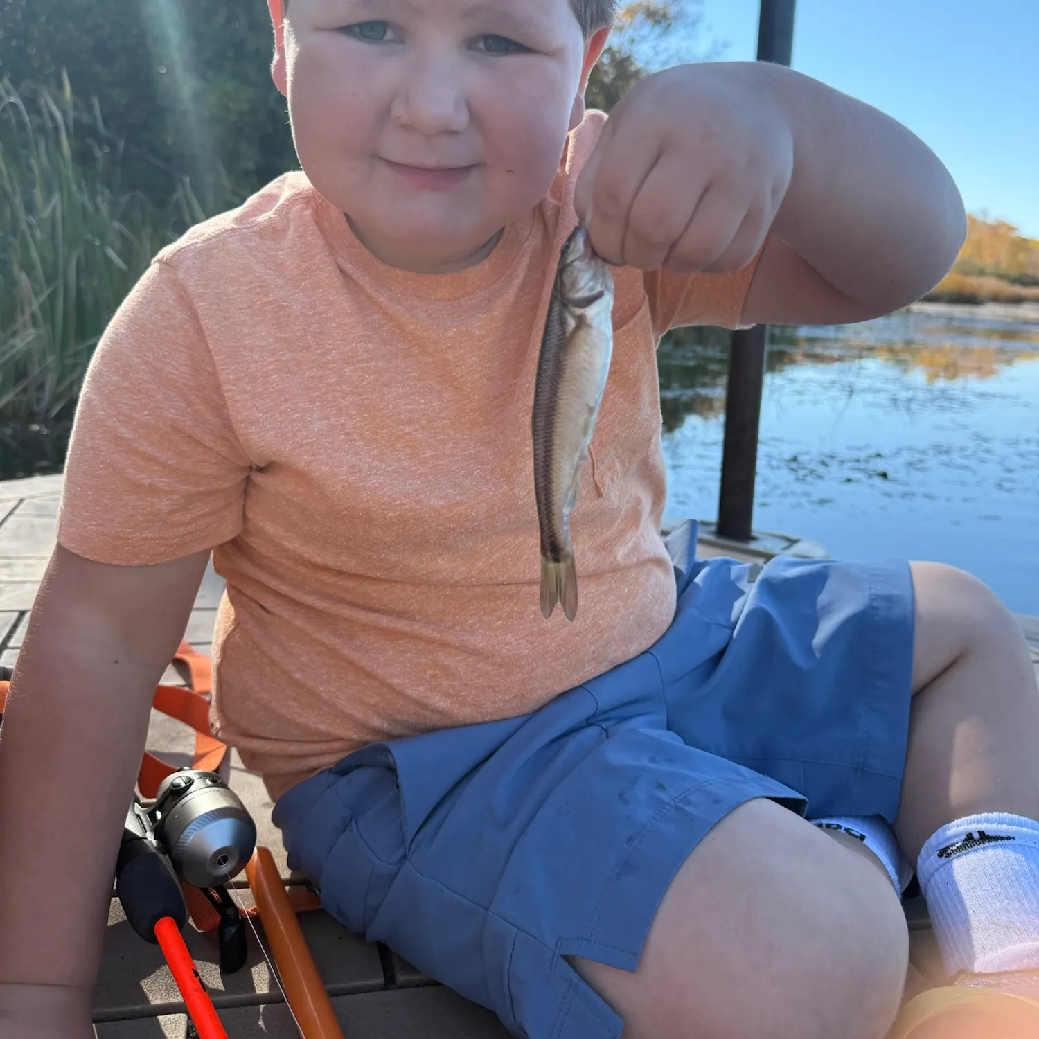 Creek chub caught on Fishbrain