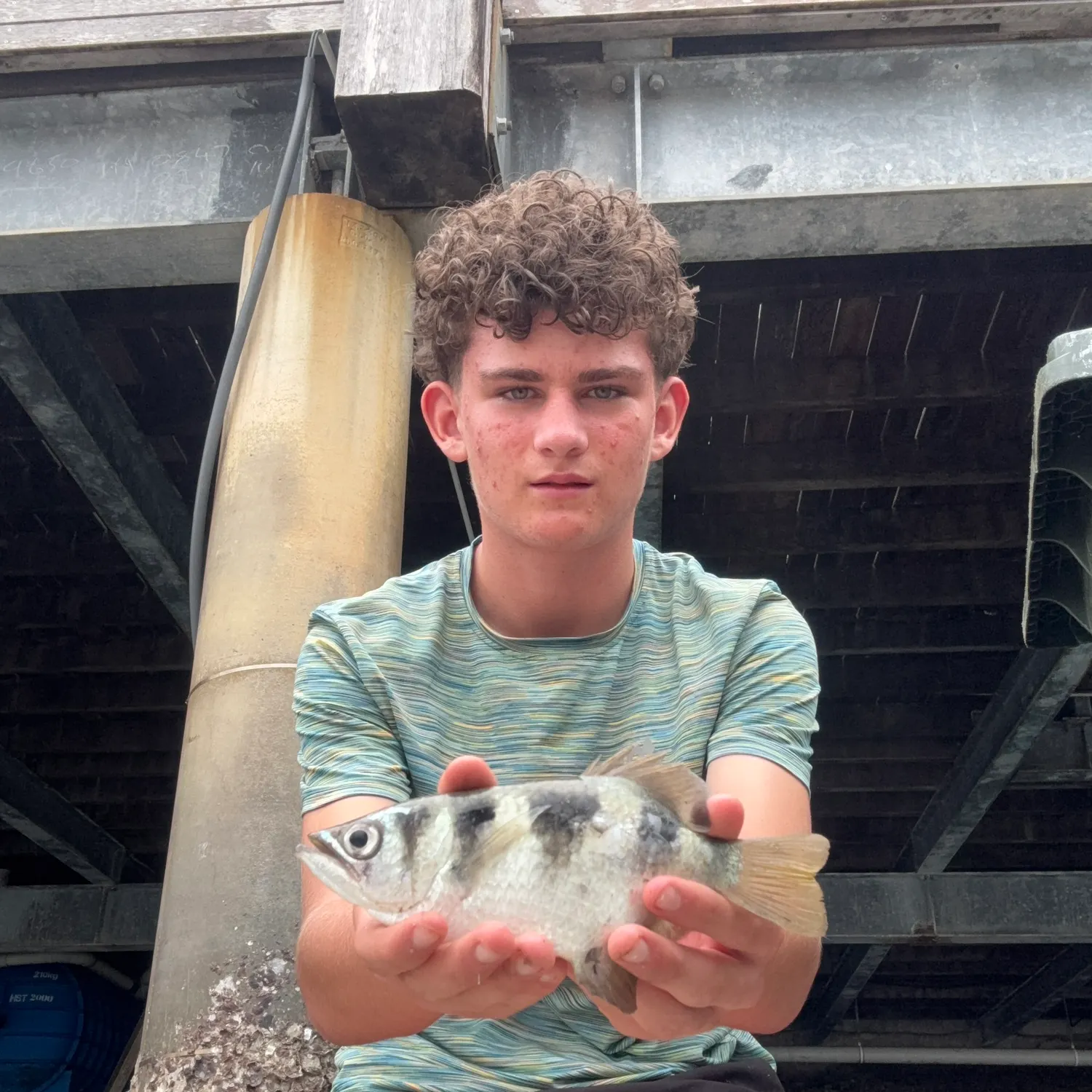 The most recent Banded archerfish catches on Fishbrain