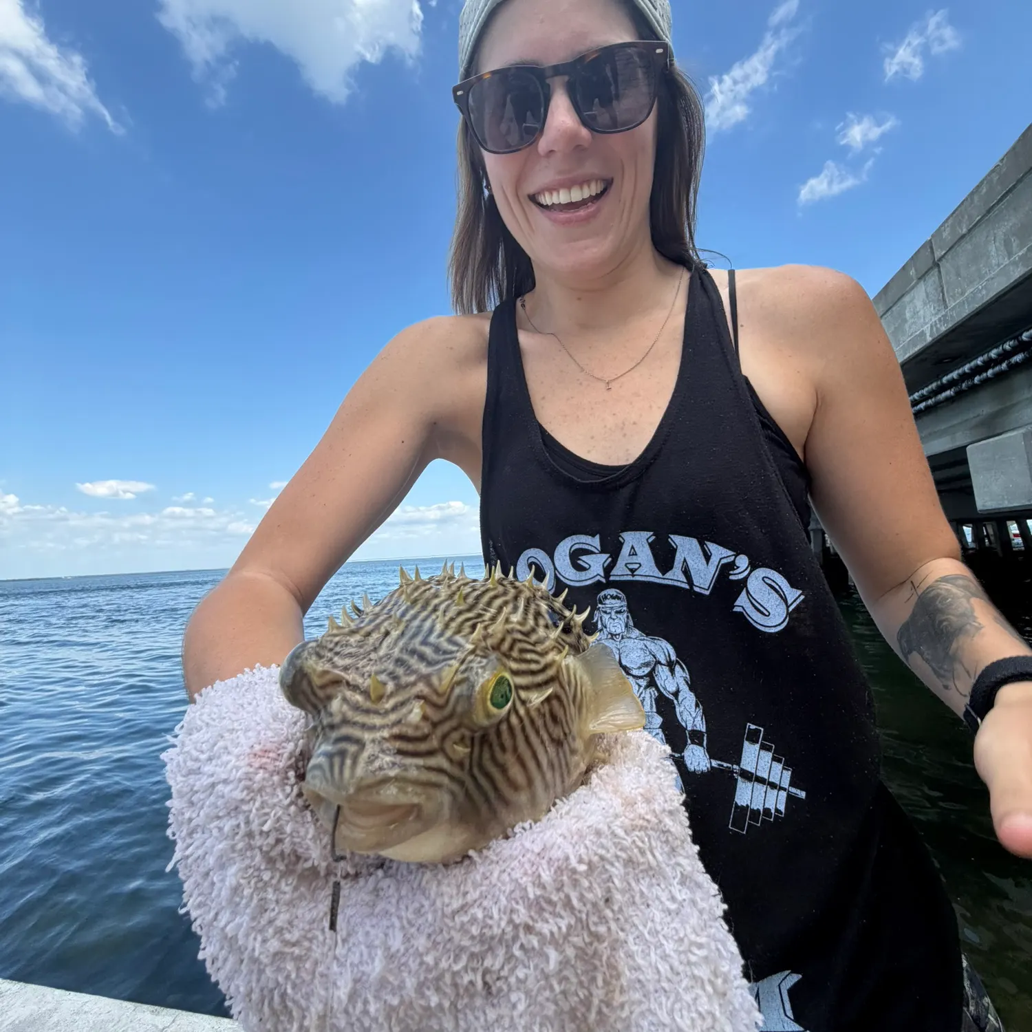 The most recent Shortnose boxfish catches on Fishbrain