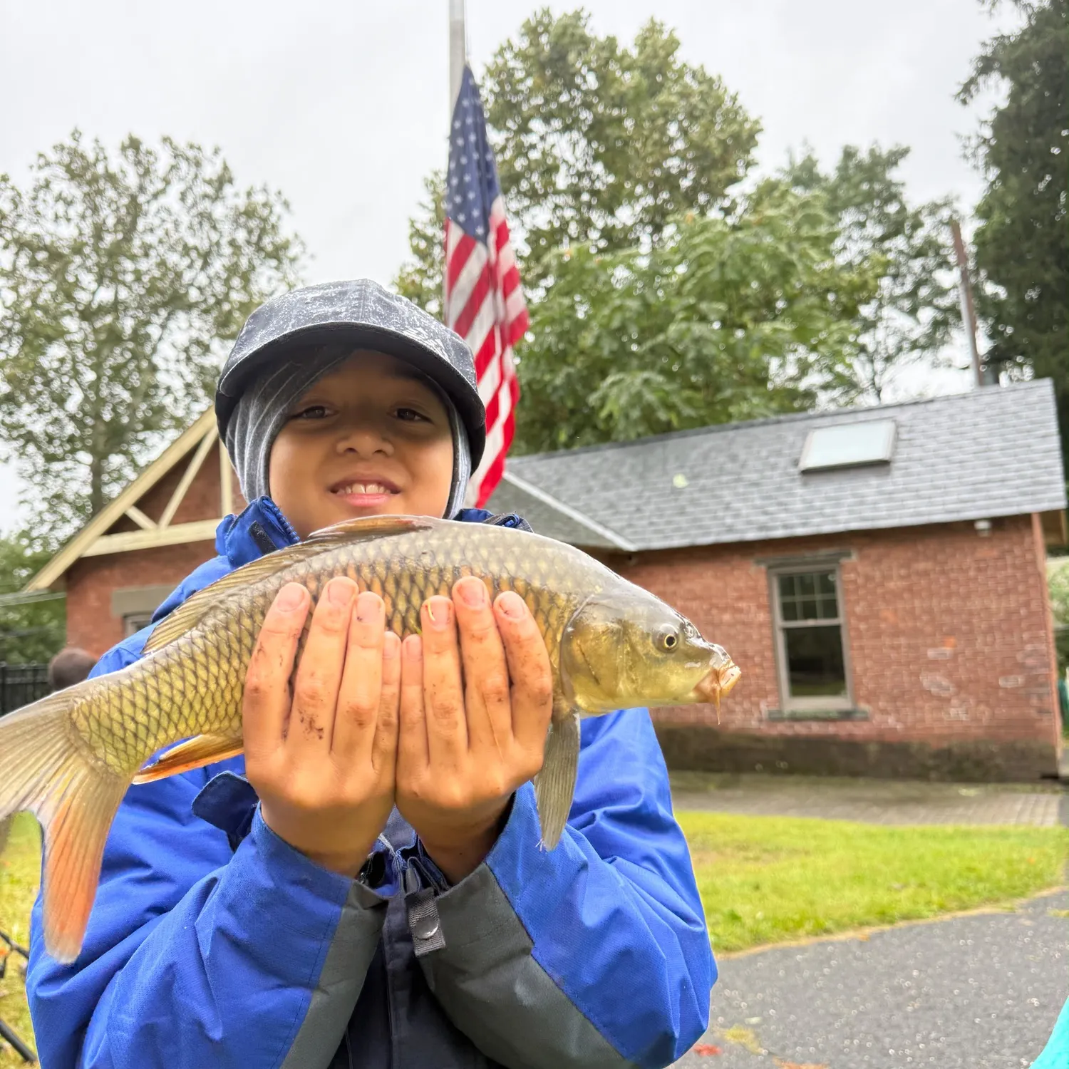 Common carp caught on Fishbrain