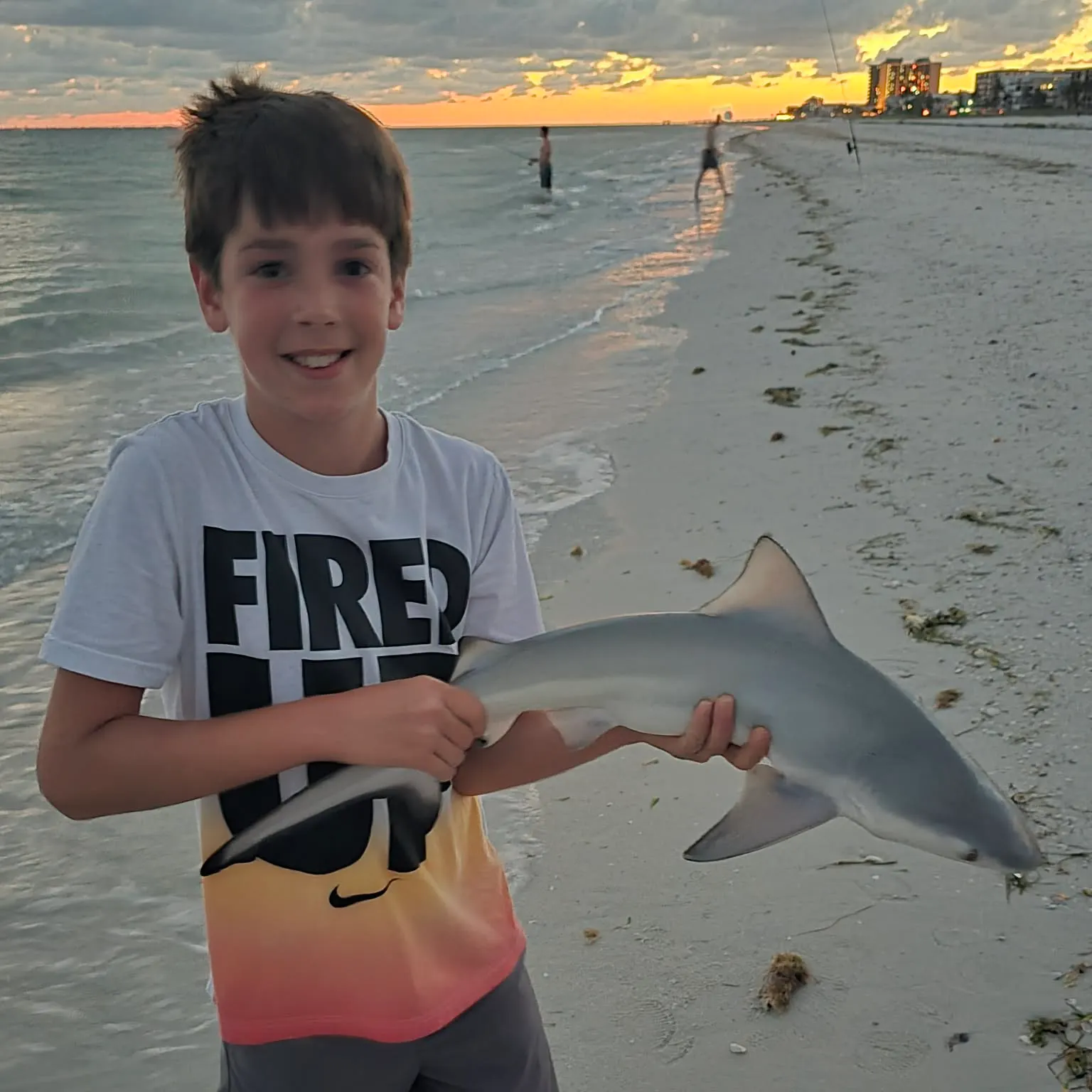 The most recent Blacknose shark catches on Fishbrain