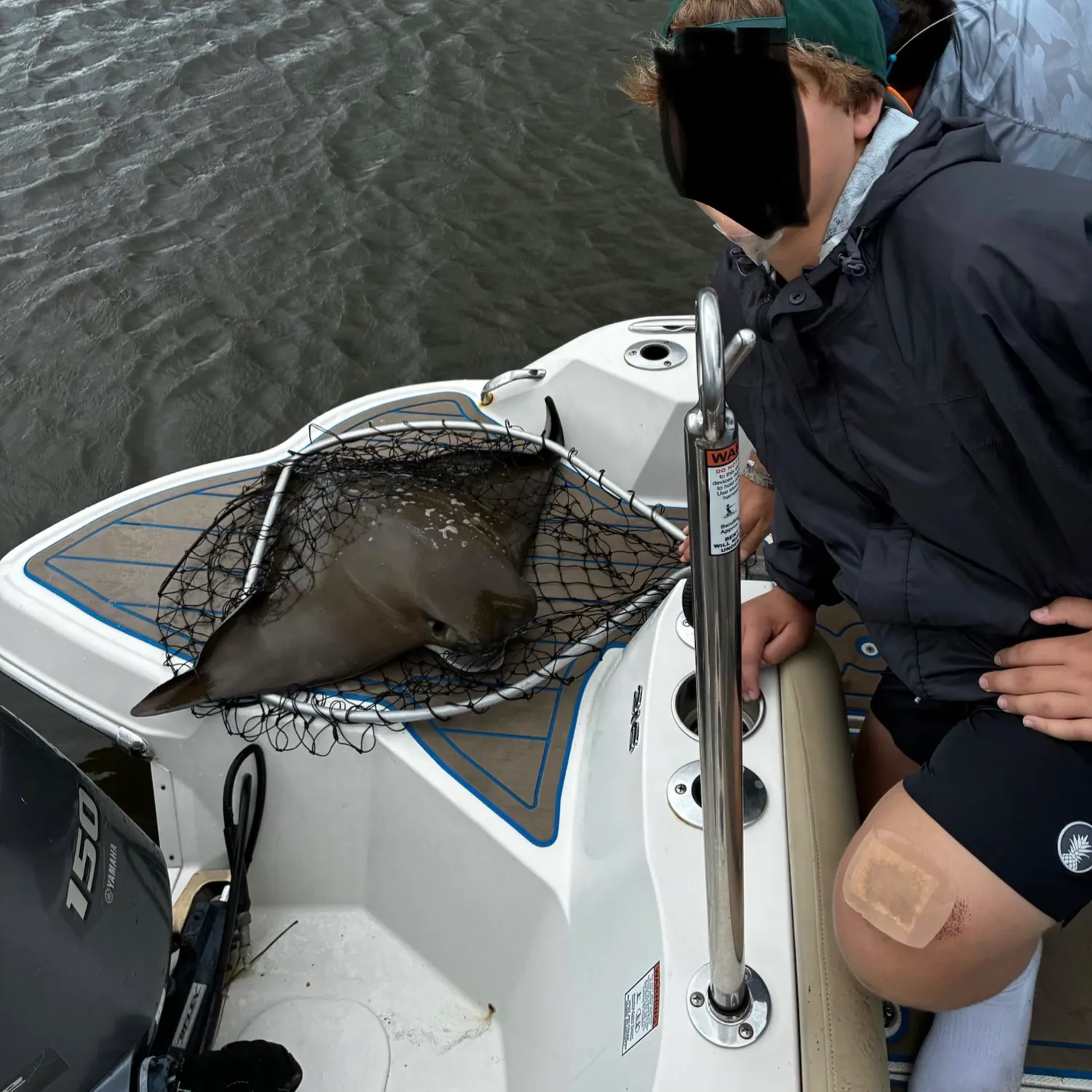 The most recent Cownose Ray catches on Fishbrain