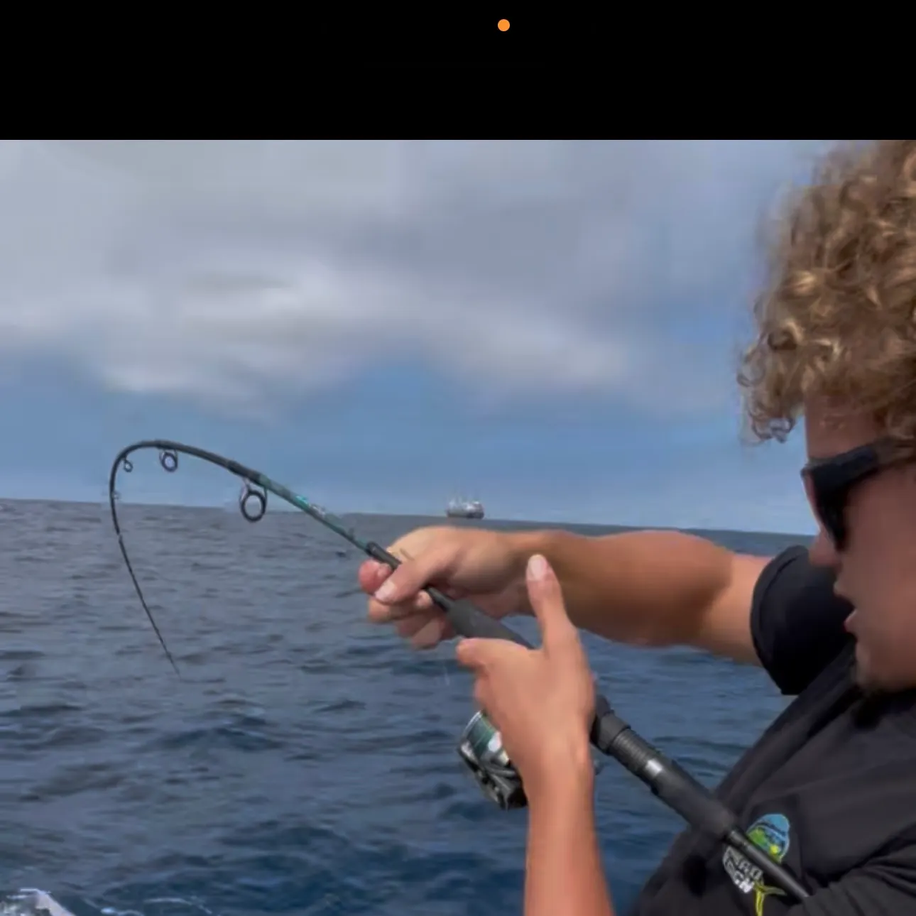 The most recent Broadnose sevengill shark catches on Fishbrain