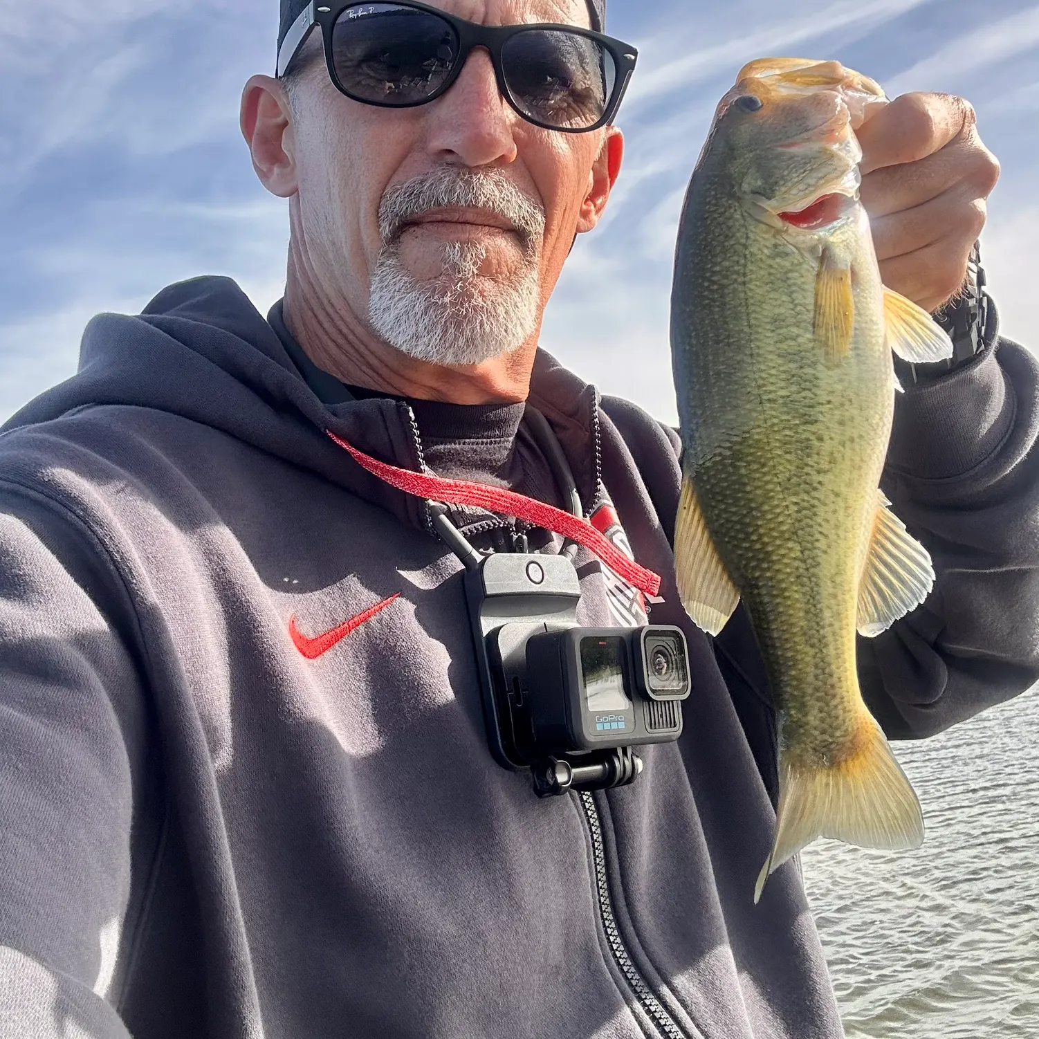 Largemouth bass caught on Fishbrain
