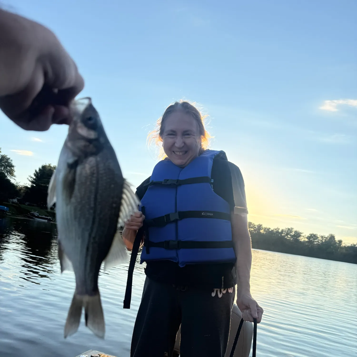 White bass caught on Fishbrain