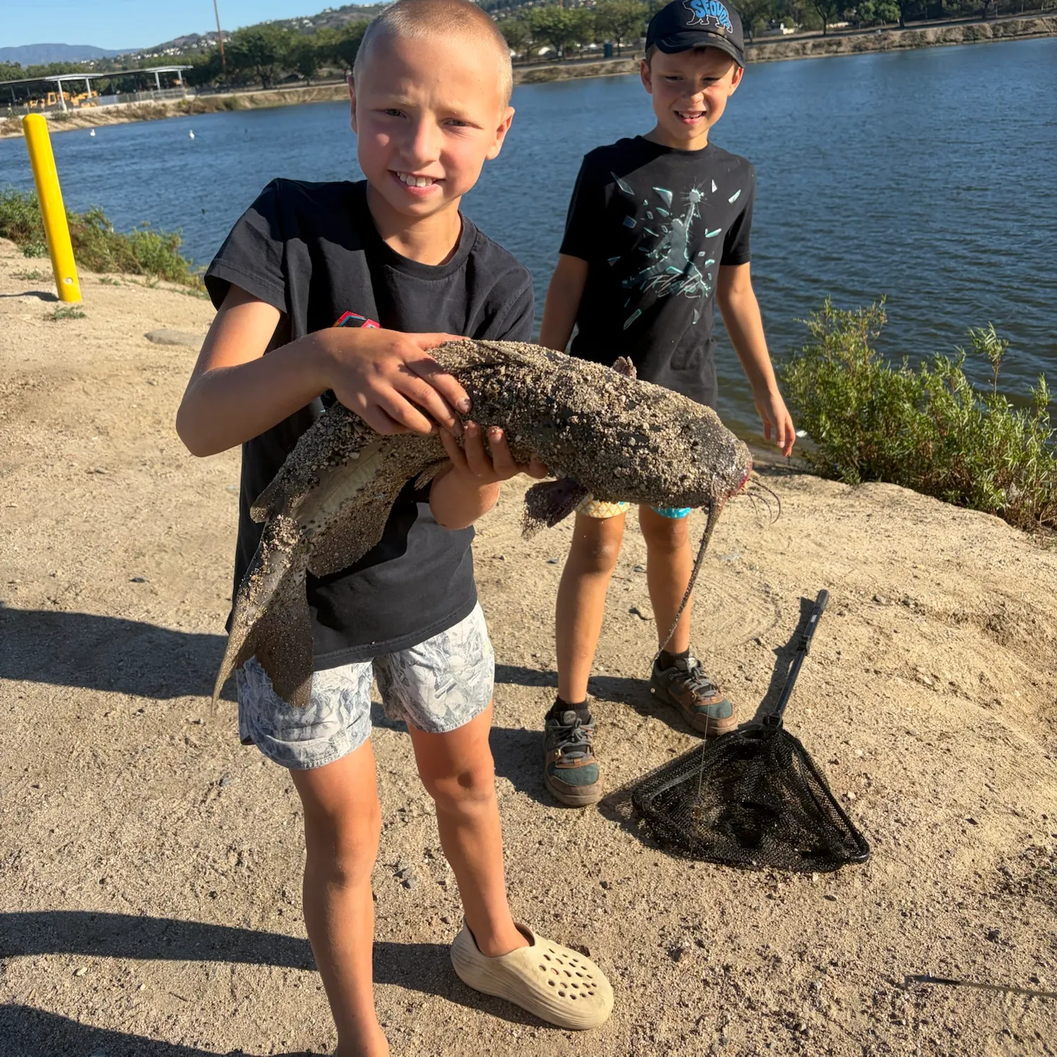 Channel catfish caught on Fishbrain