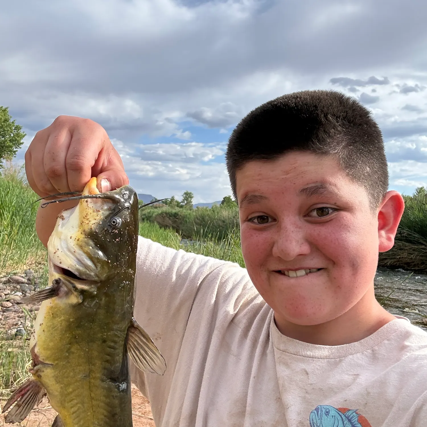 Yellow bullhead caught on Fishbrain