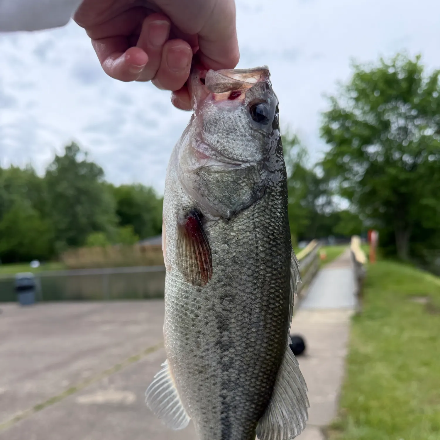 catch