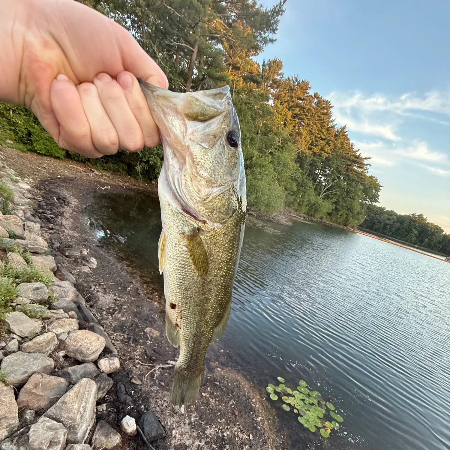 Fish caught on Fishbrain