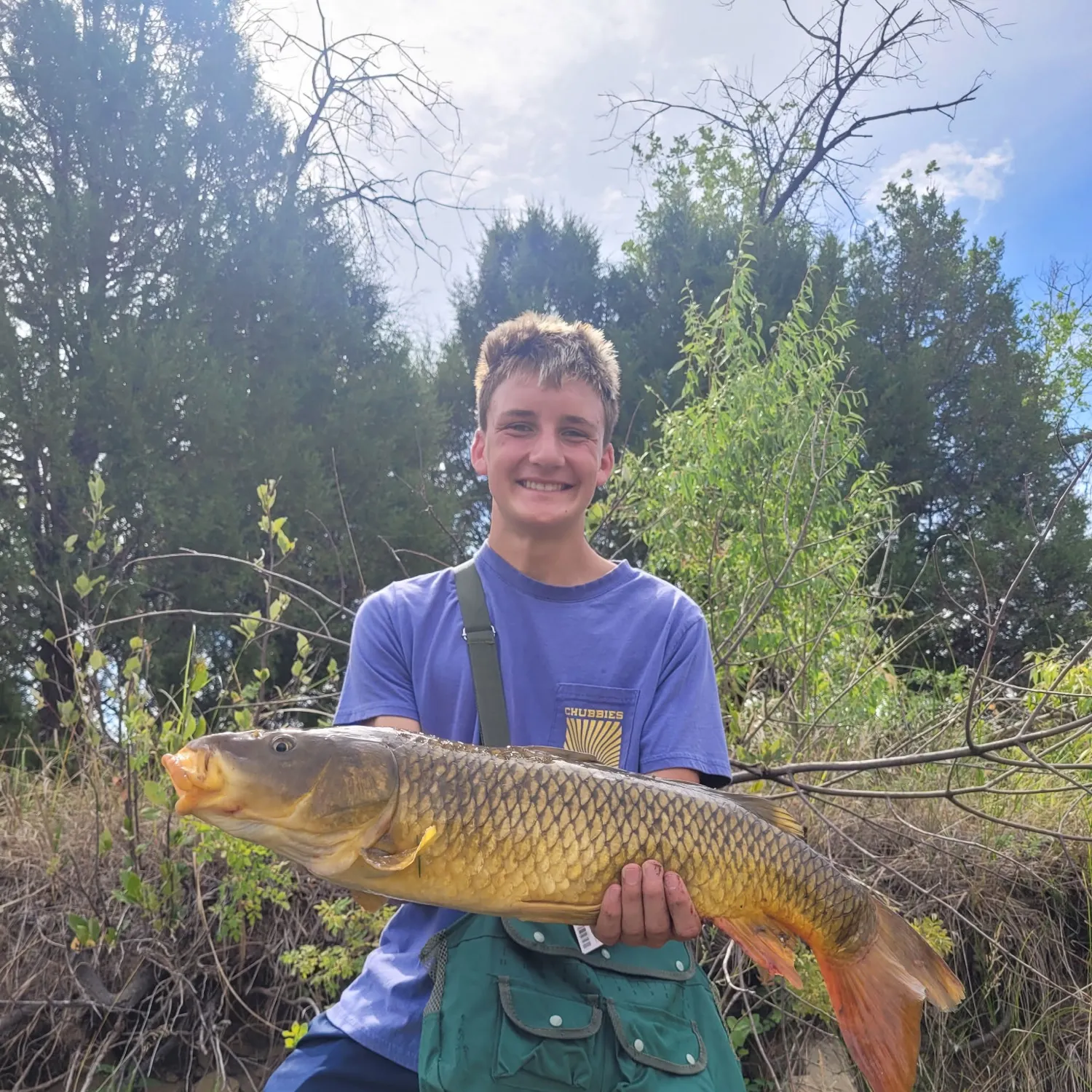 Common carp caught on Fishbrain