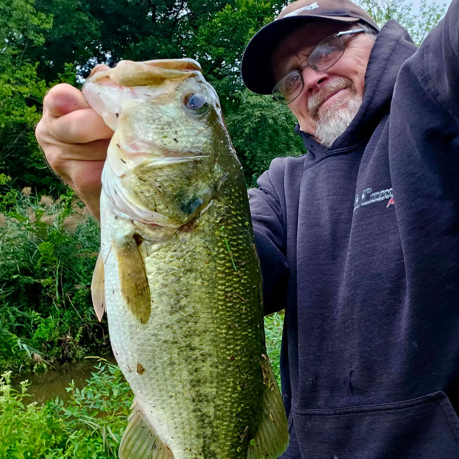 Largemouth bass caught on Fishbrain