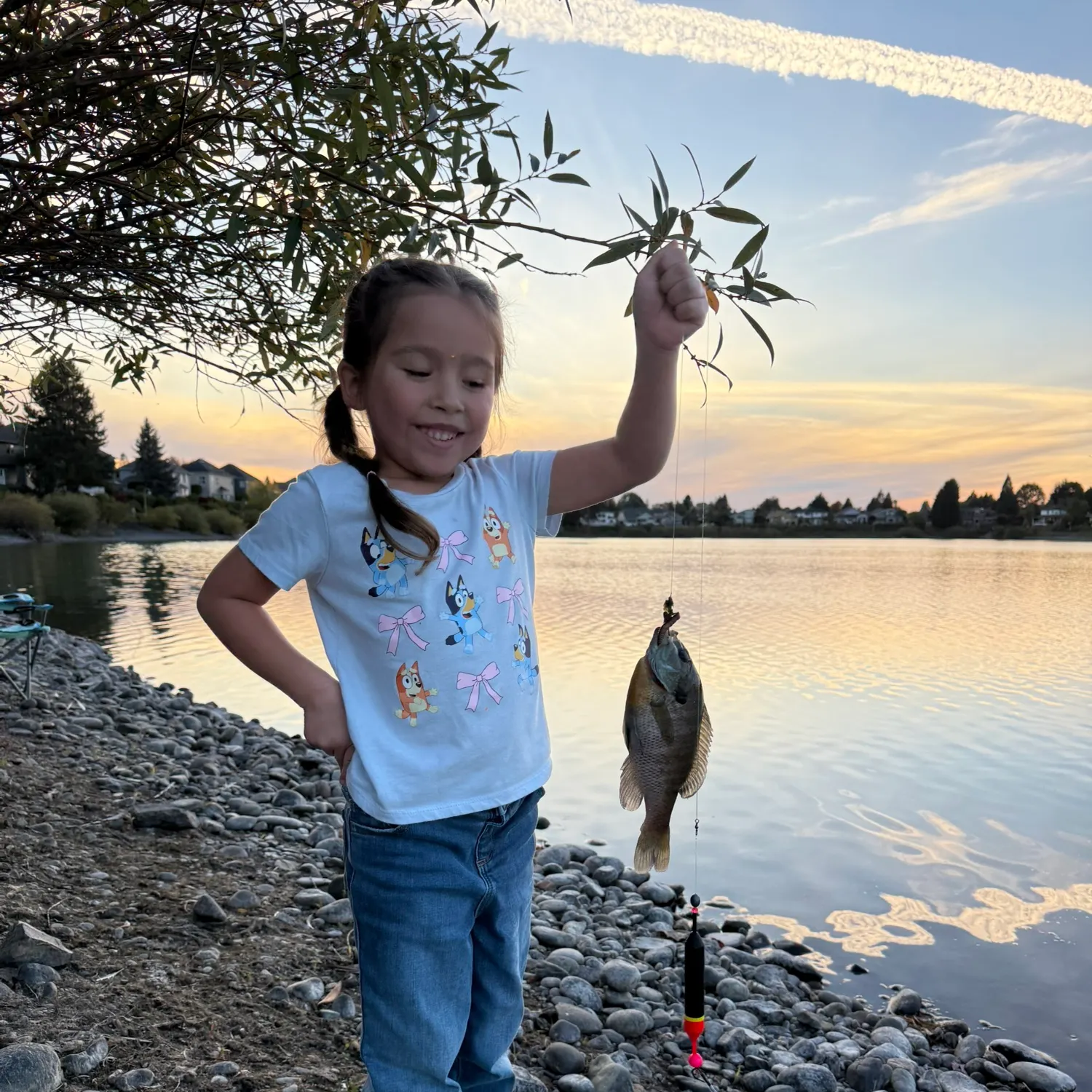 Bluegill caught on Fishbrain