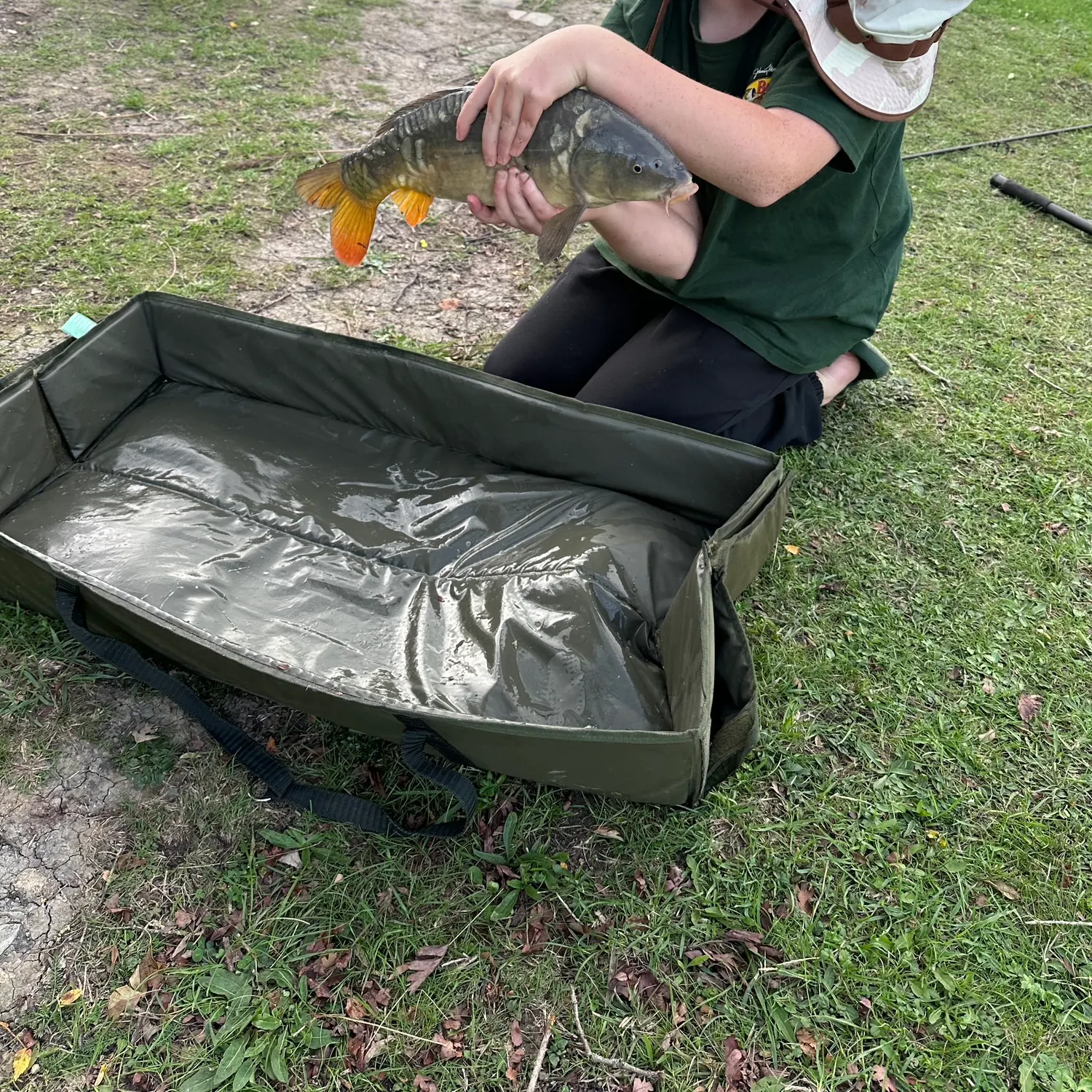 Mirror carp caught on Fishbrain