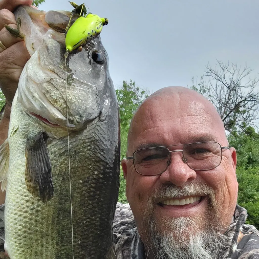 angler catch