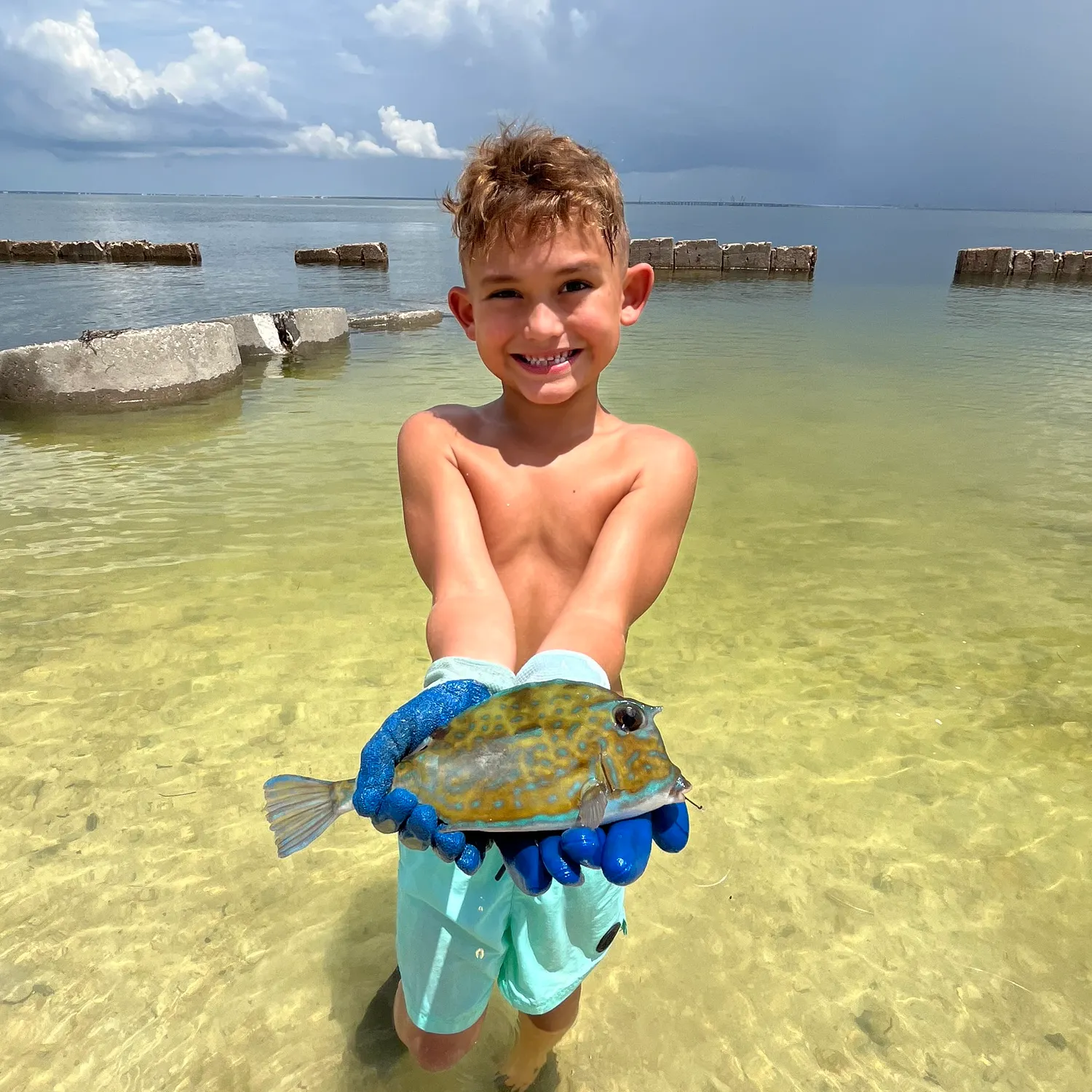 The most recent Scrawled cowfish catches on Fishbrain