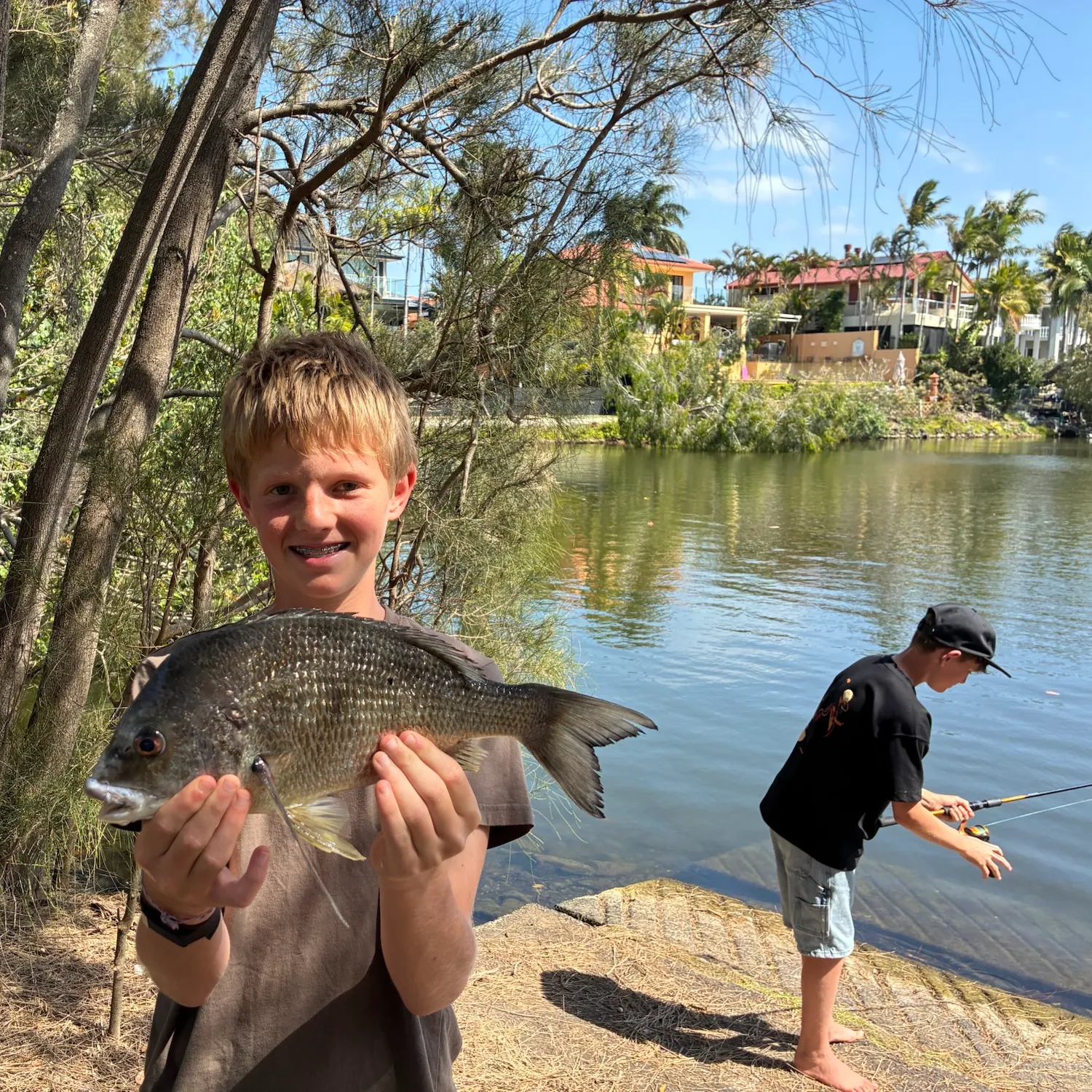 Surf bream caught on Fishbrain